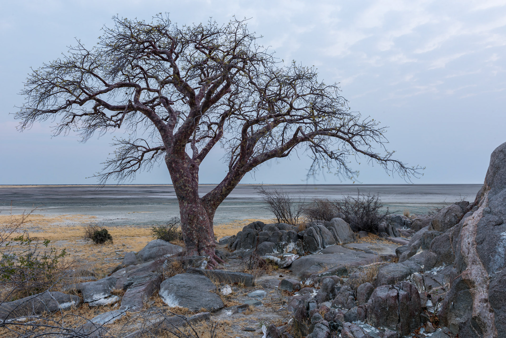 Kubu Island, Botswana