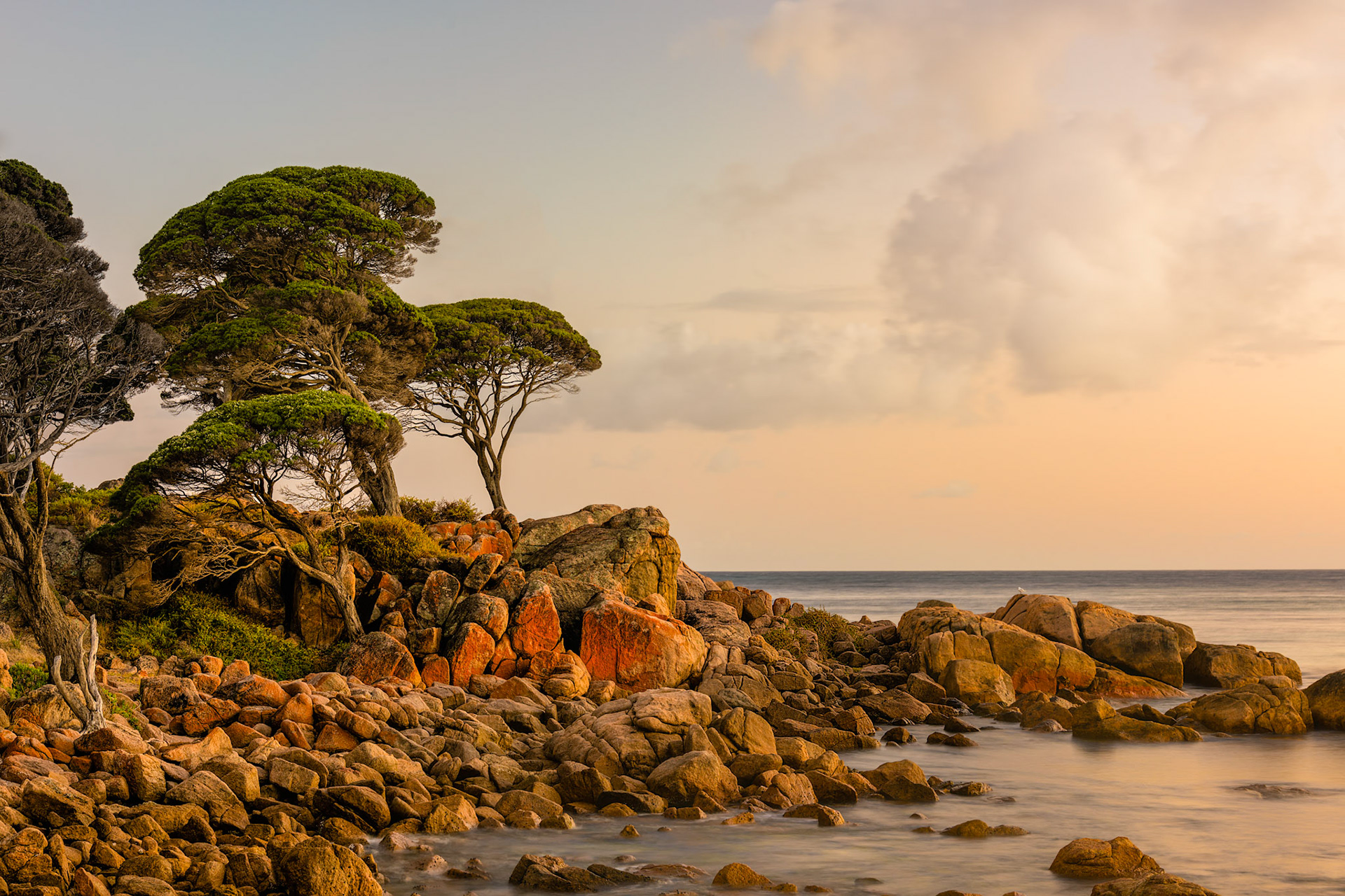 Dawn Light at Bunker Bay / I love the colour in these rocks in the dawn light. Bunker Bay, Western Australia