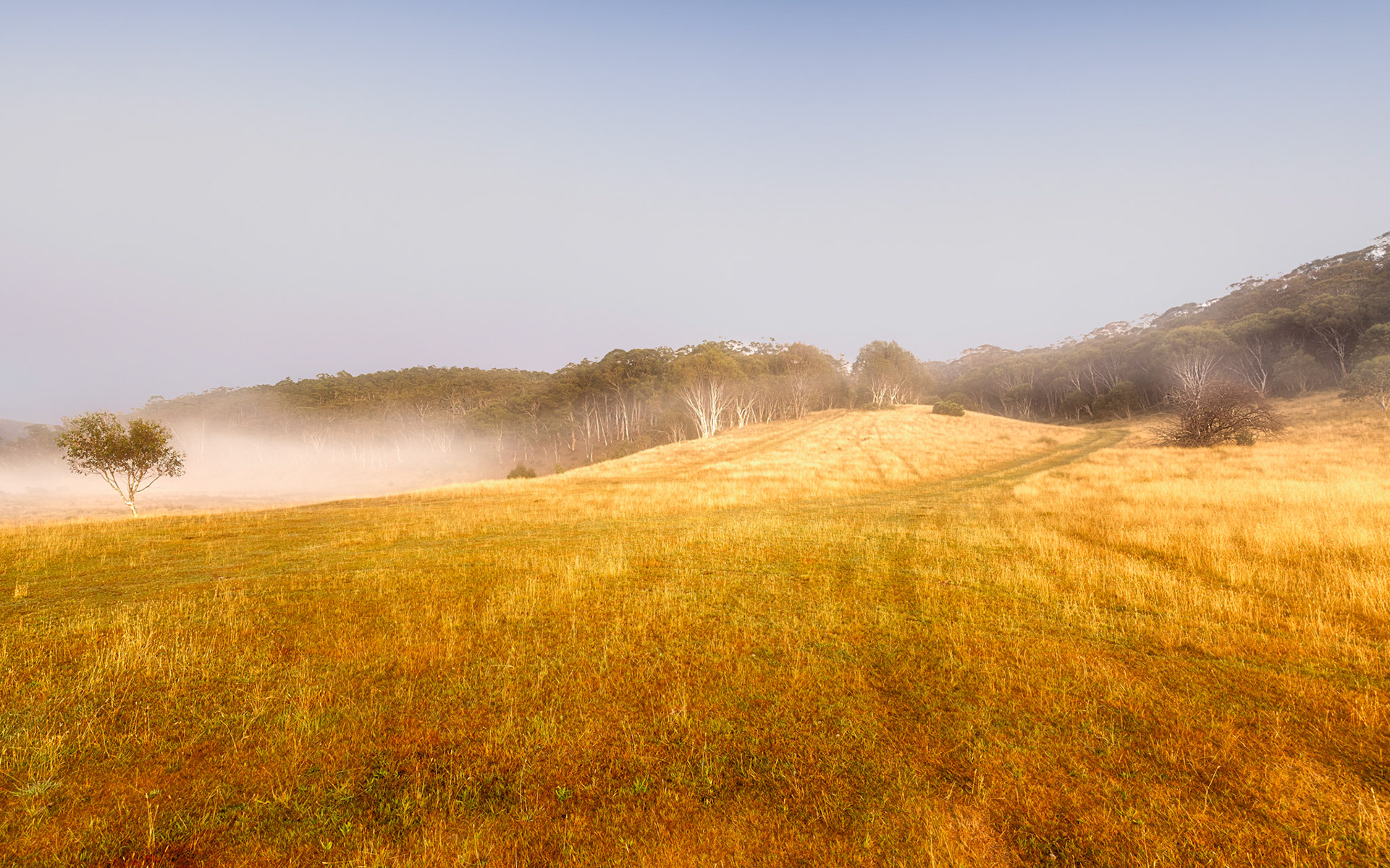 Title: Rising Mist / Caption: Glorious sunlight. Early mornings in the Eucumbene River Valley are a special time ... and the fish are biting, Snowy Mountains, NSW, Australia