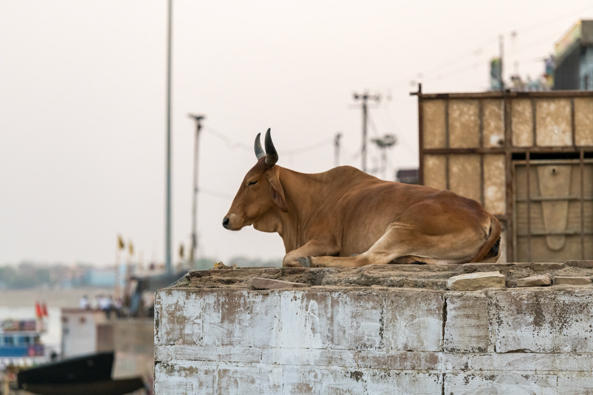 India