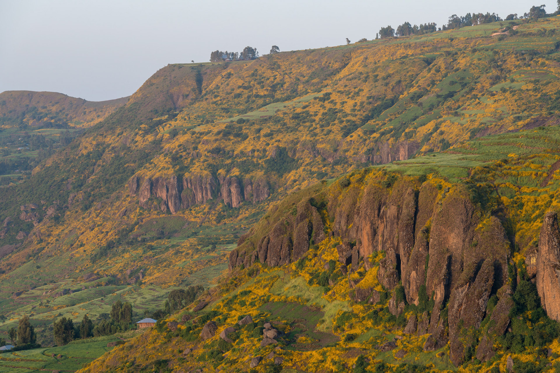 Ethiopia 2018