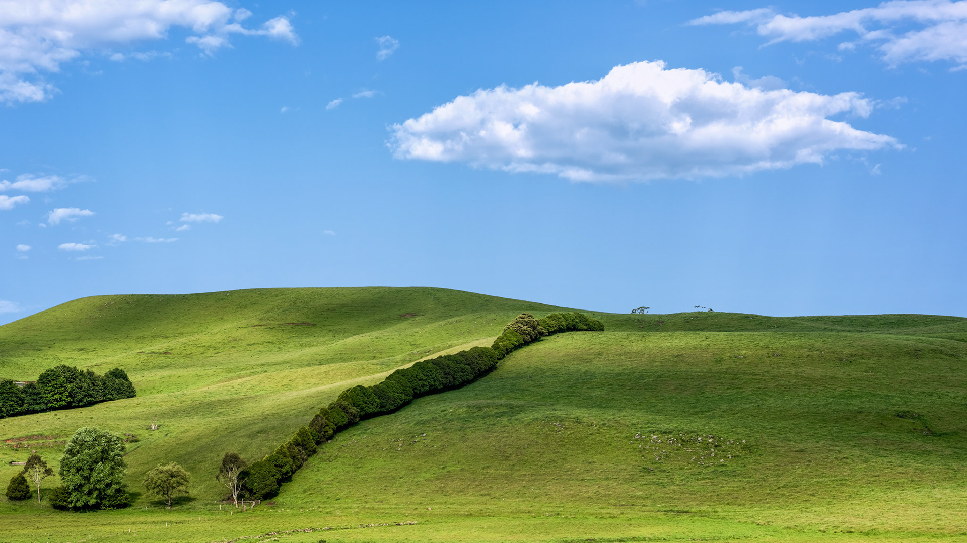 Title: The Road to Dorrigo / Caption: I love the country between Dorrigo and Ebor in the New England Region of New South Wales, Australia. I drove it three times in one day to capture a few scenes.