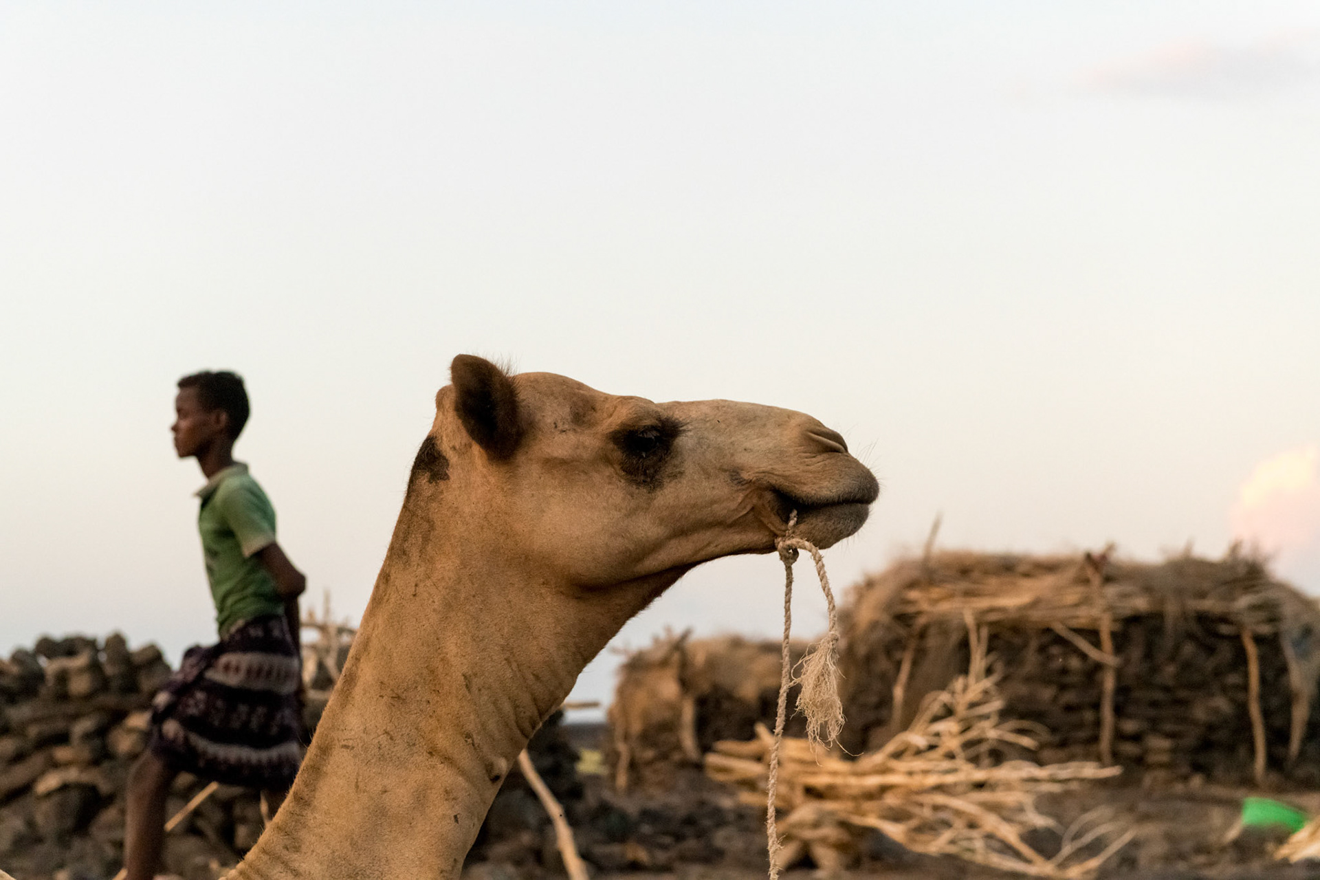Ethiopia 2018