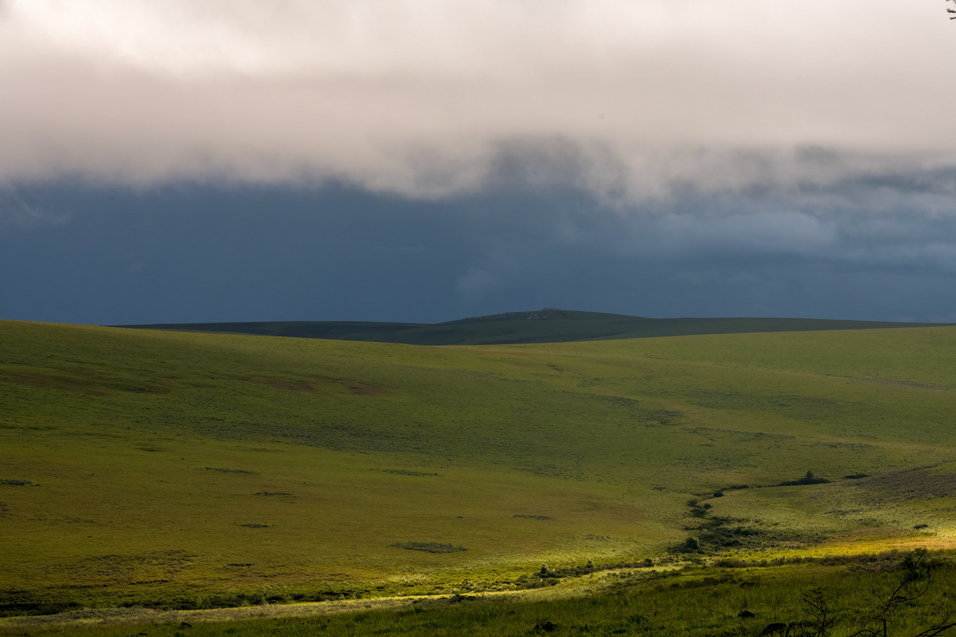 Africa