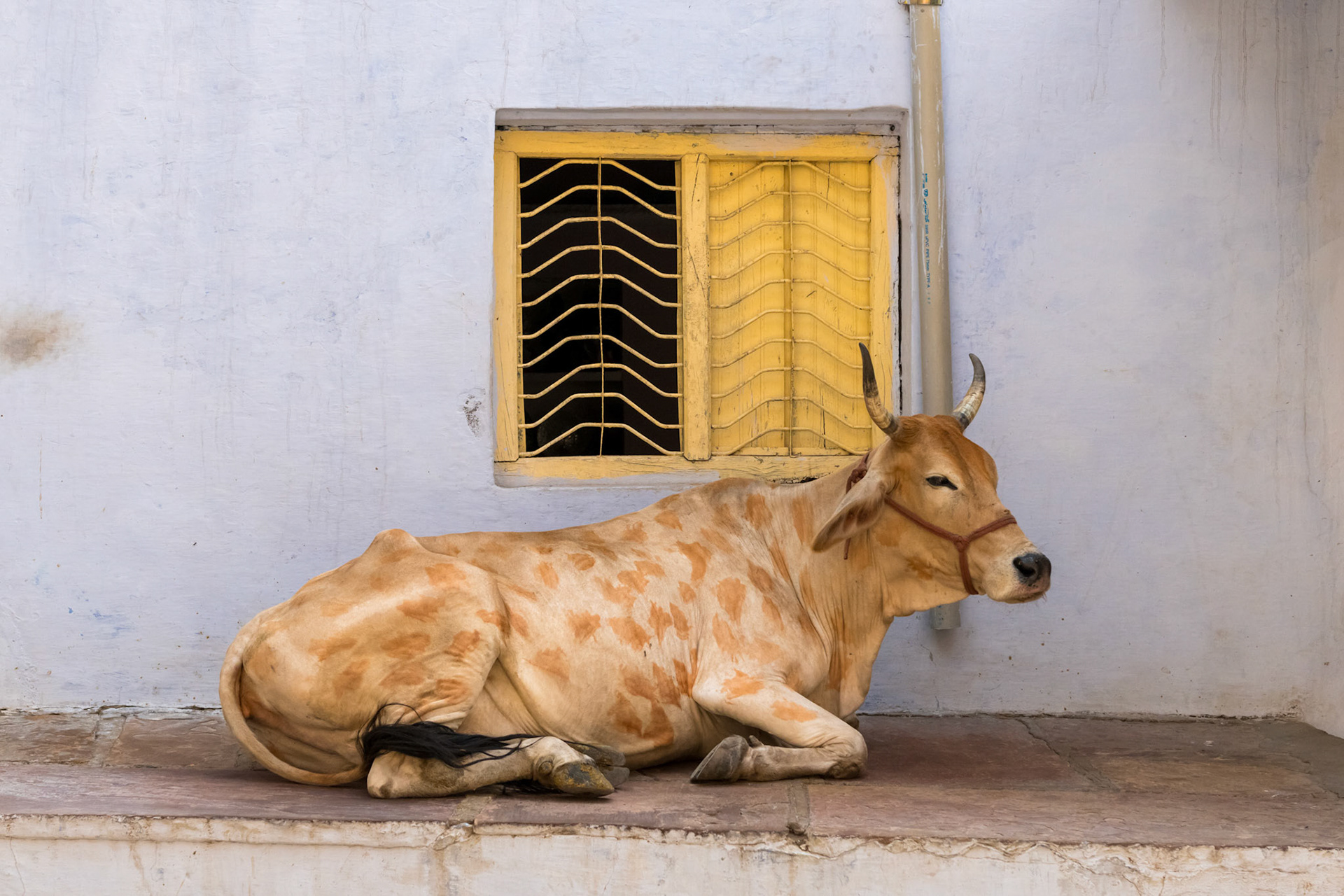 India