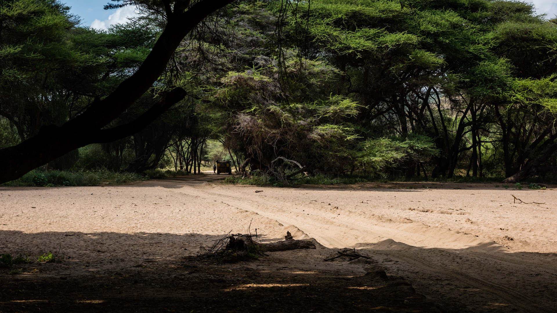 Amboseli, Kenya