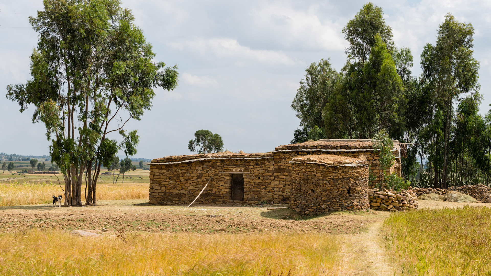 Ethiopia 2018
