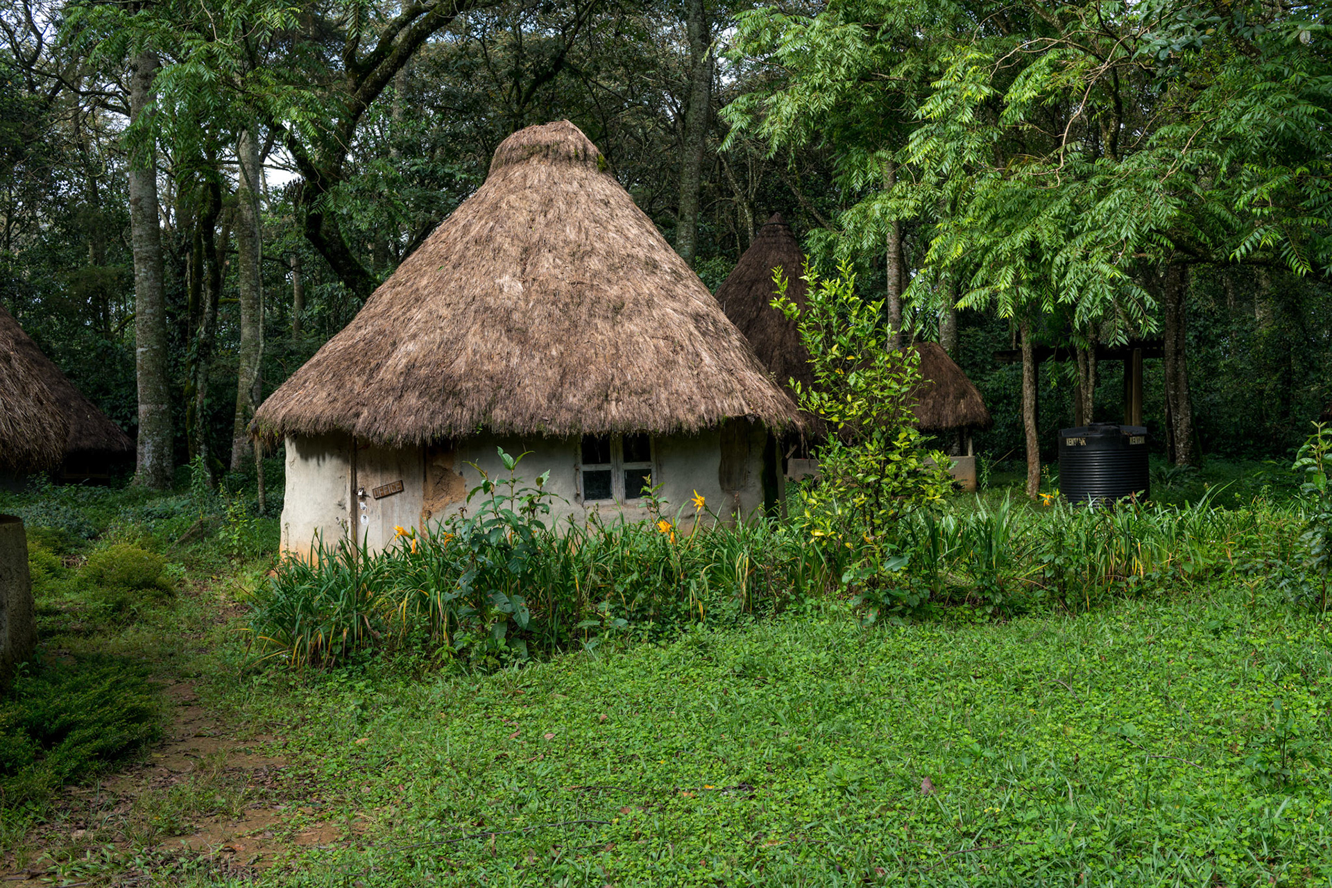 Africa