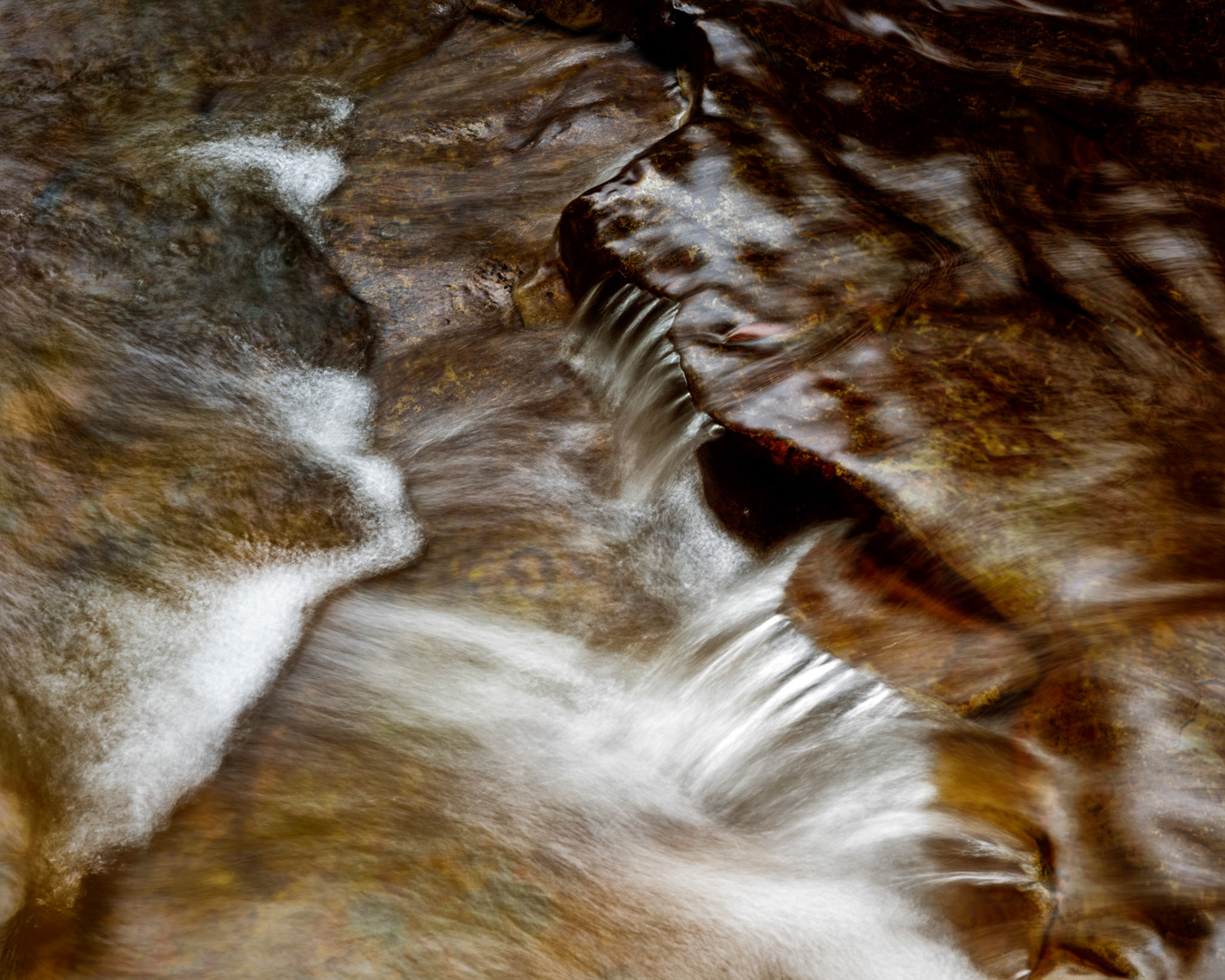 Liffey Falls Detail #1 / Liffey Falls are an easy walk from the bottom or top and includes several waterfalls as well as small rapids. It's popular with photographers and you probably won't be the only person there. Nevertheless there are many opportunities to get some great images. This little spot caught my eye. I think the colours are quite like those on some cow hides.