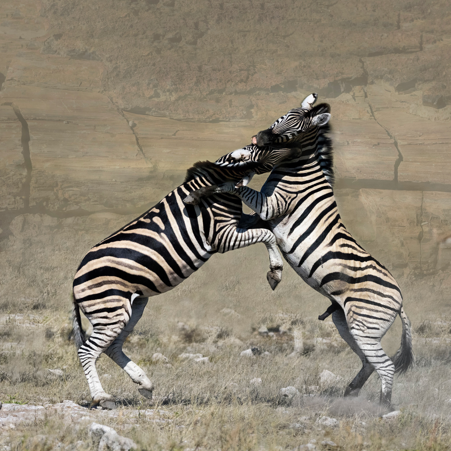 Twyfelfontein, Southern Namibia