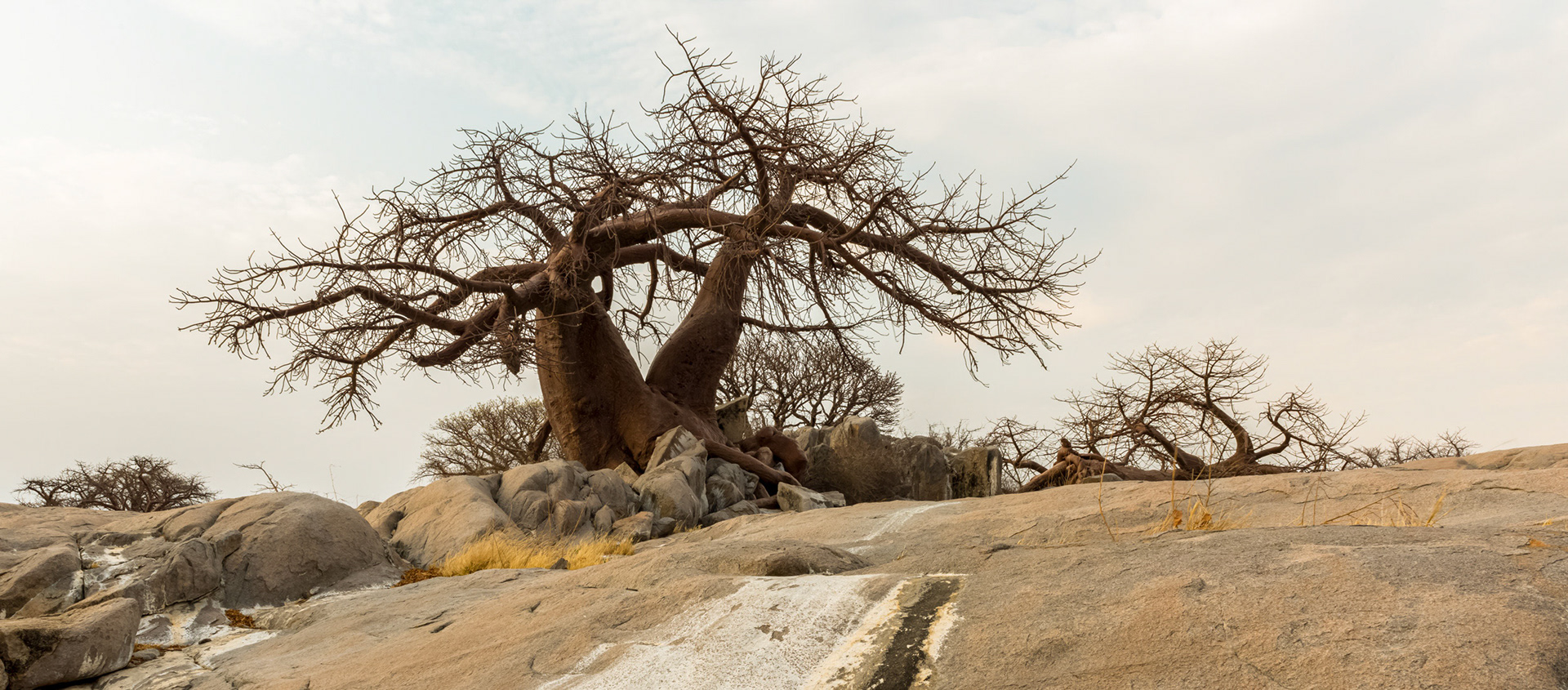 Kubu Island, Botswana