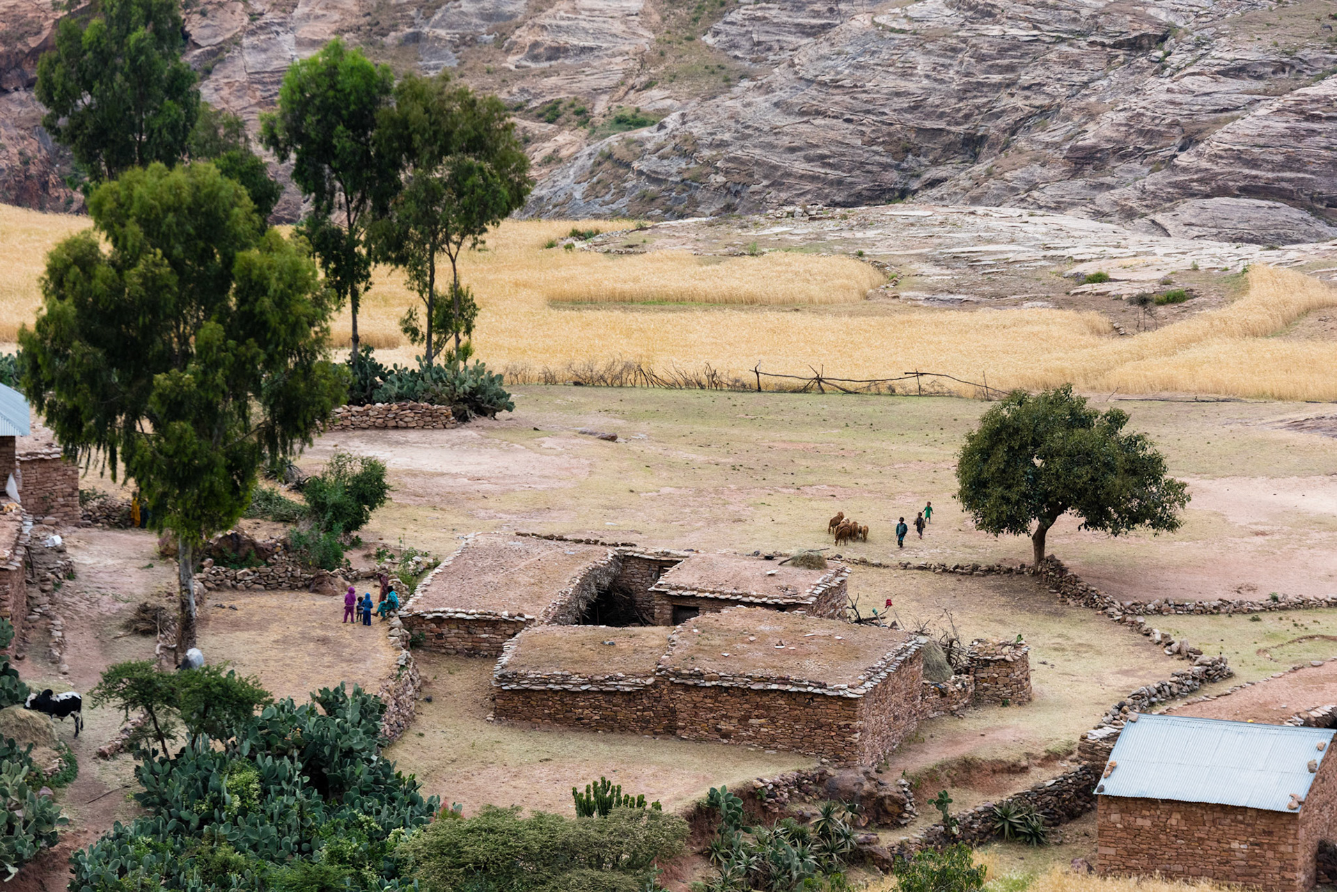 Ethiopia 2018