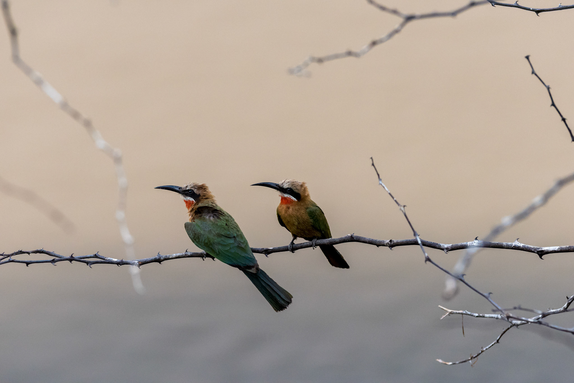 Shakawe, Botswana