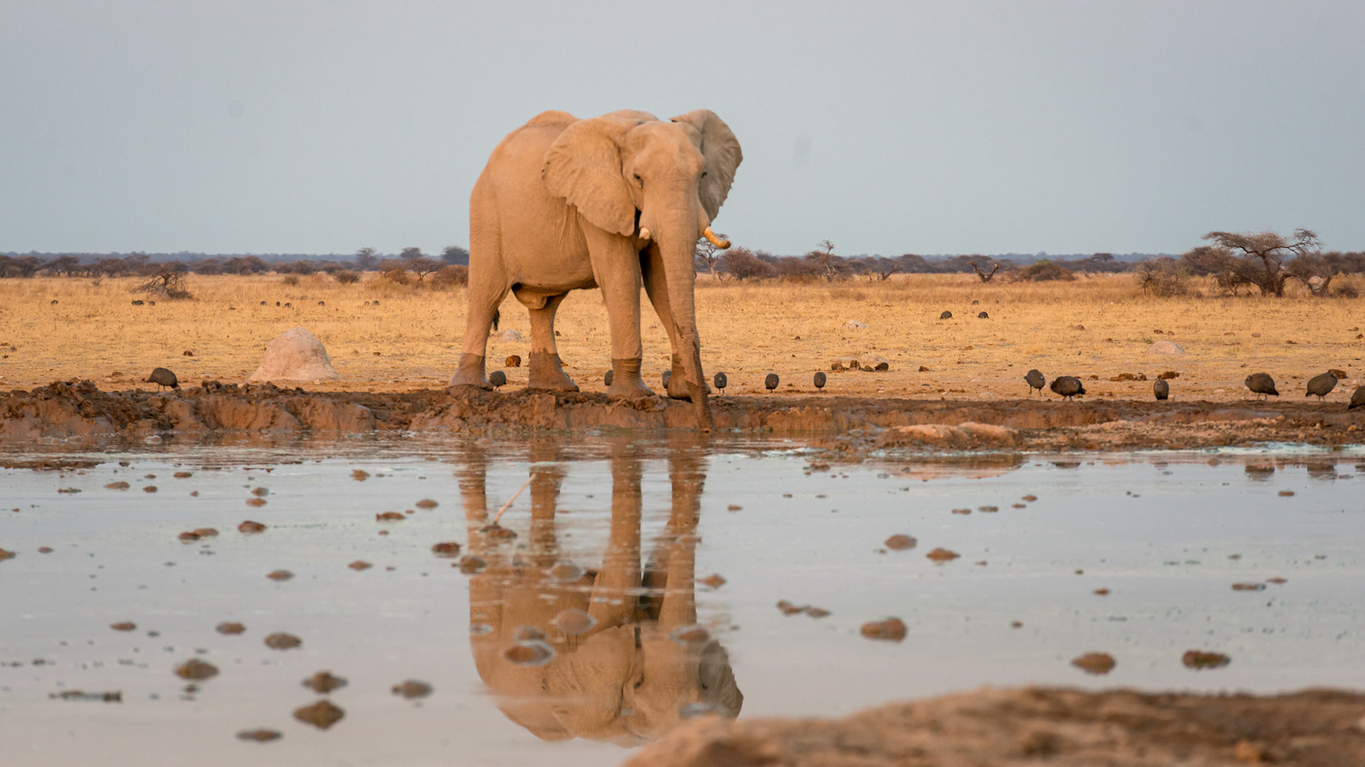 Gweta, Botswana