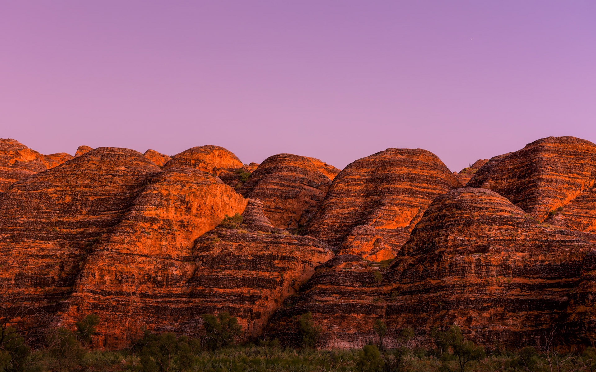 Purple Dawn / Isn't it marvellous how nature uses complementary colours! Bungle Bungle Range, Purnululu National Park, Western Australia