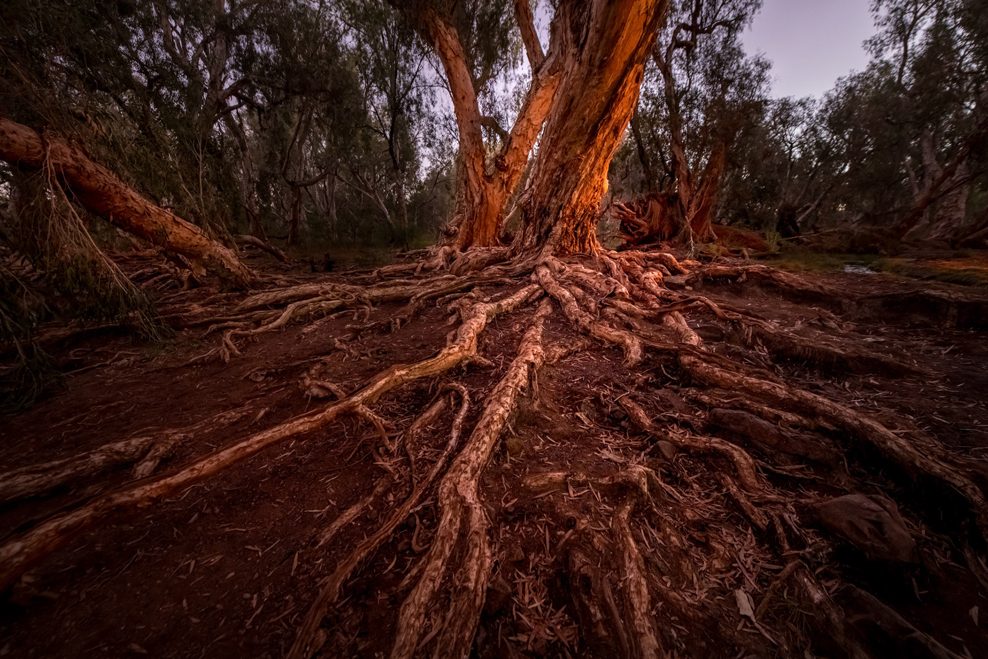 WA Karijini