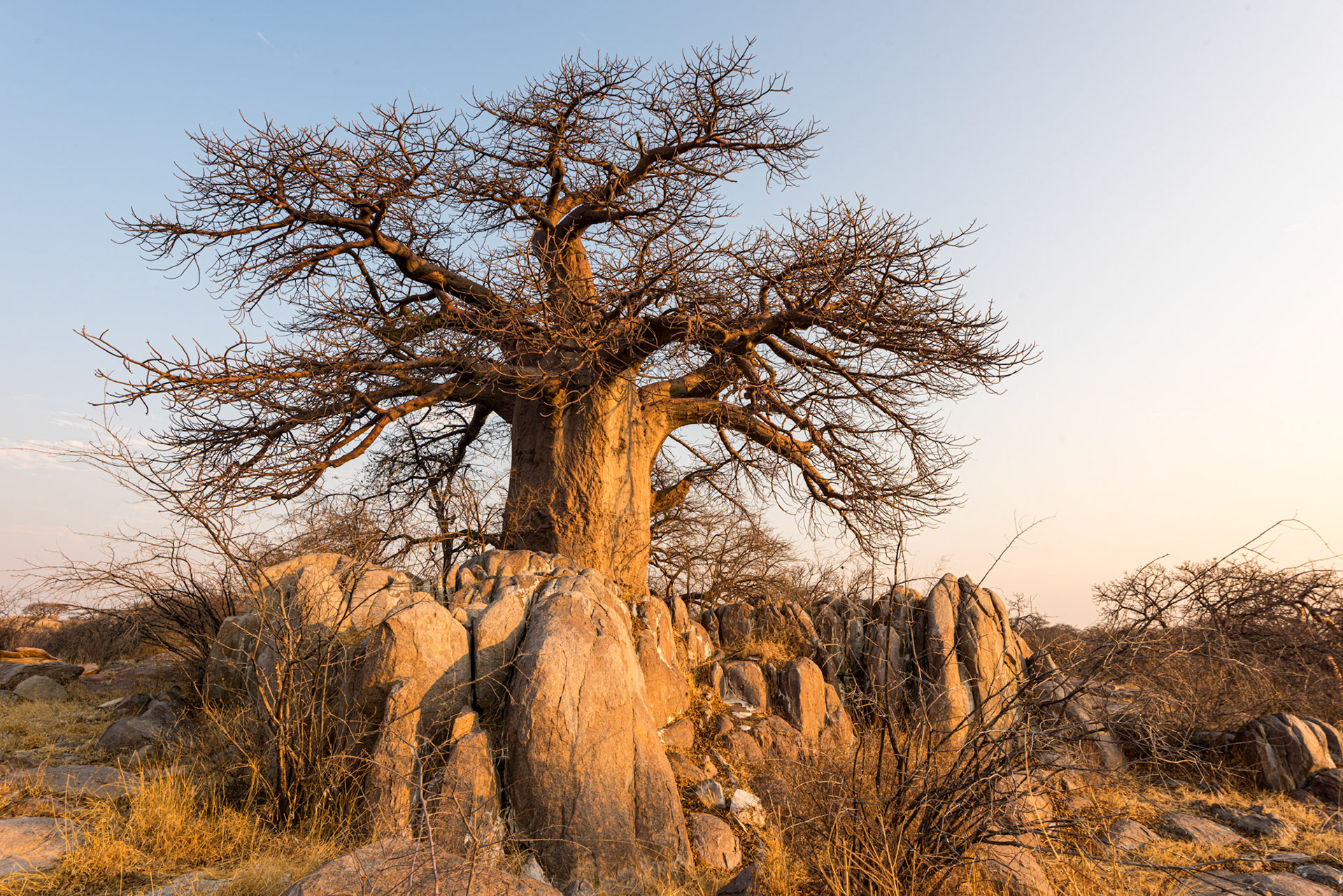 Kubu Island, Botswana