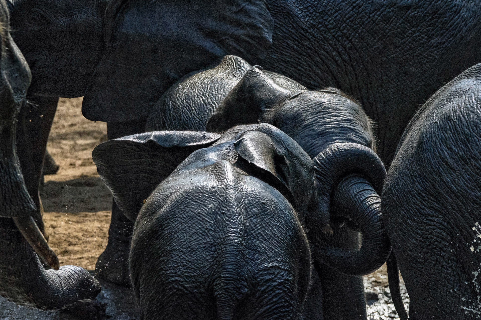 Majete NP, Malawi