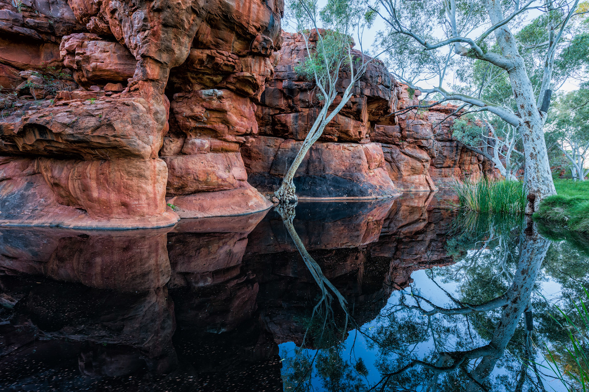 Durba Springs / This oasis near well 17 on the Canning Stock Route in Western Australia was very welcome after a week of rain. We stayed here for three nights.
