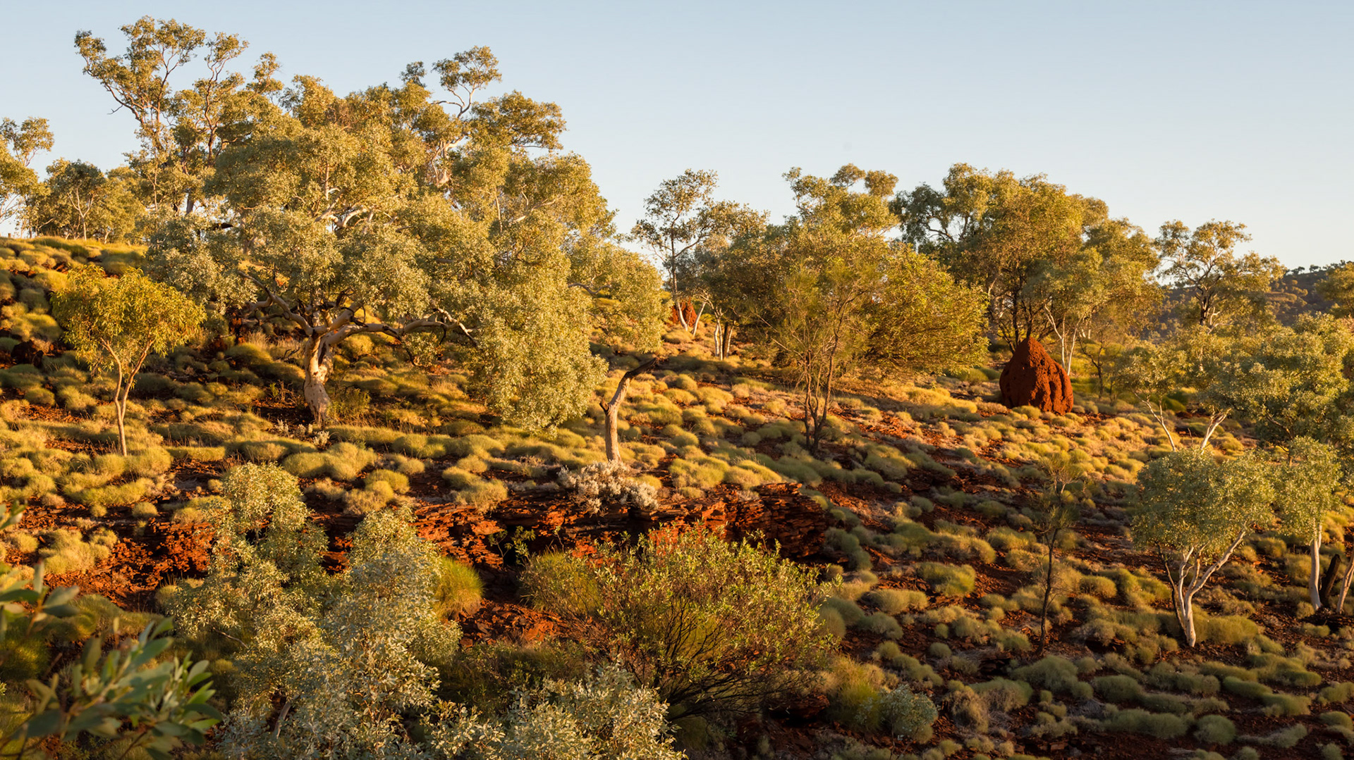 WA Karijini