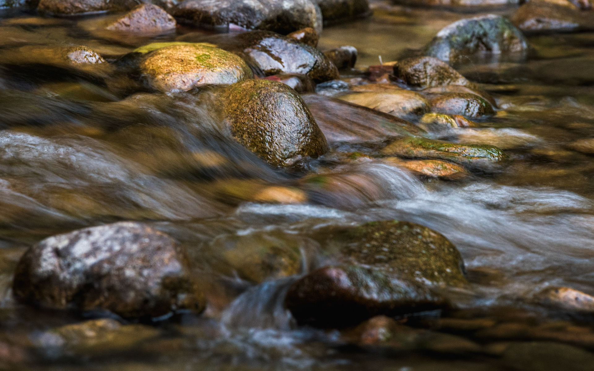 Title: Rainforest Rapids / Caption:  Eungella National Park is the place to go to see Platypus. Finch Hatton Gorge at the bottom of the escarpment has some great creeks and waterfalls. Watch out; the water can be pretty cold!