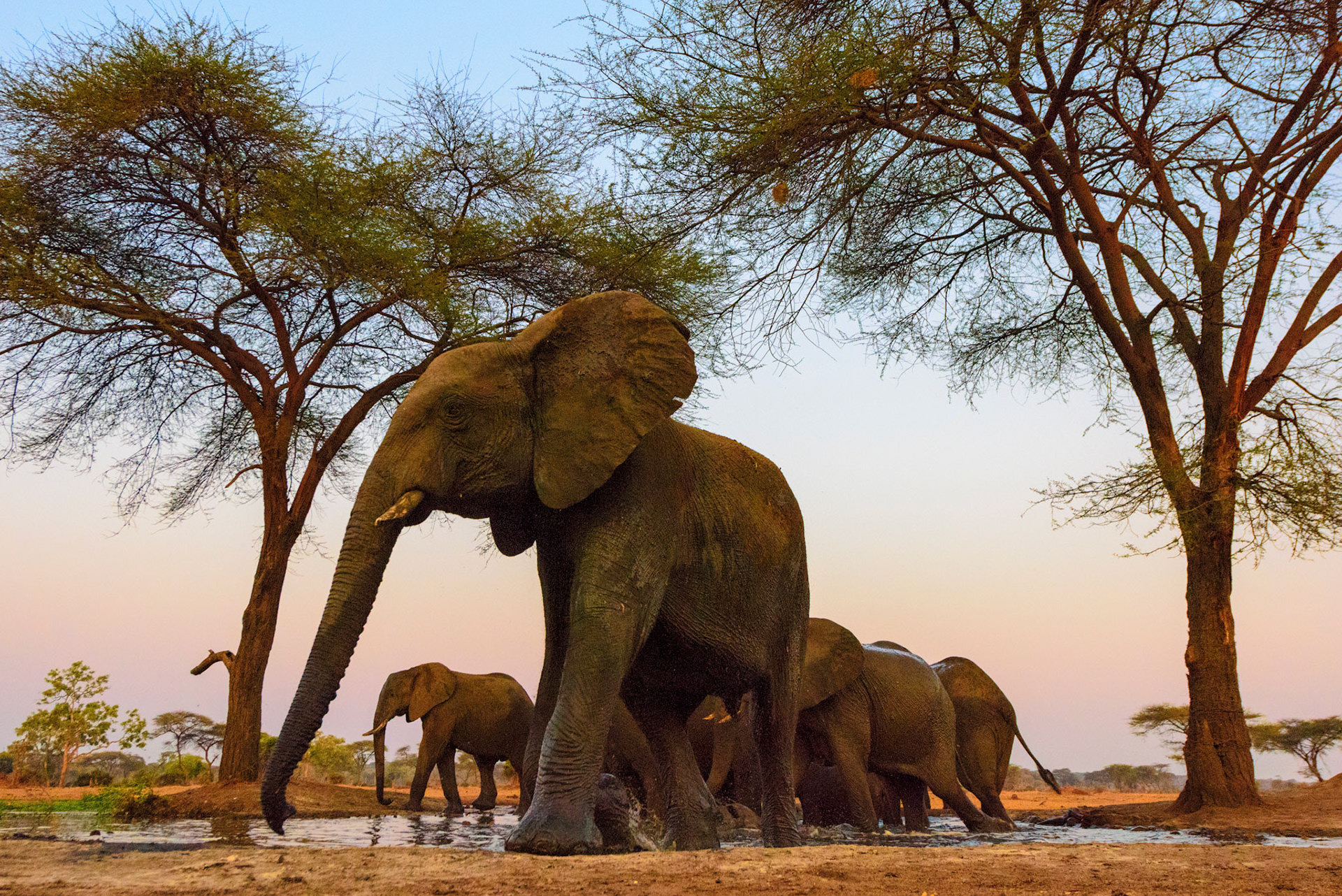 Senyati Safari Camp, Botswana