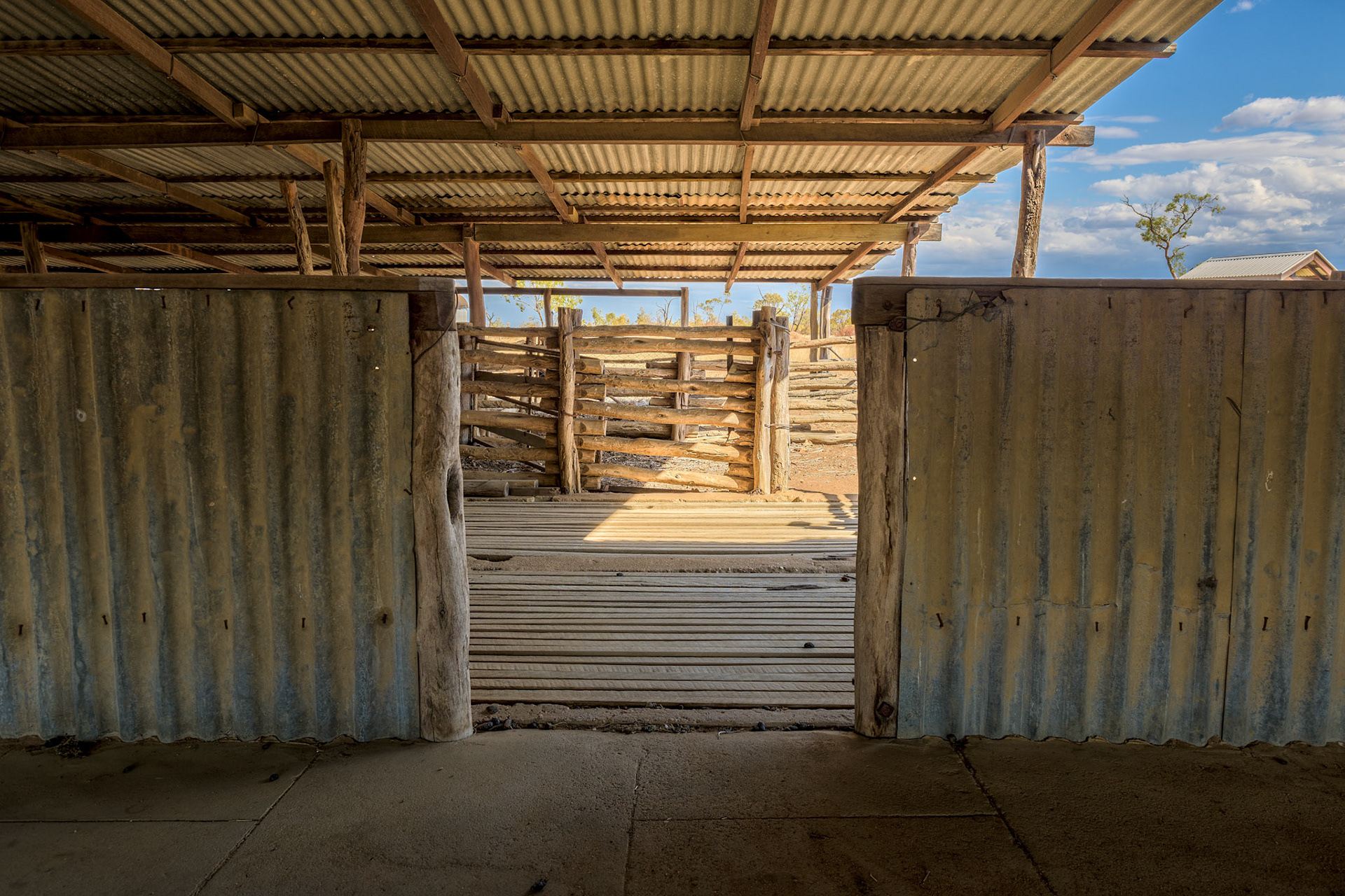 Title: Sheeps Eye View / Caption:  A beautiful old wool shed, shearers quarters and shearing sheds can be visited in the remote Moorinya National Park in Queensland, Australia
