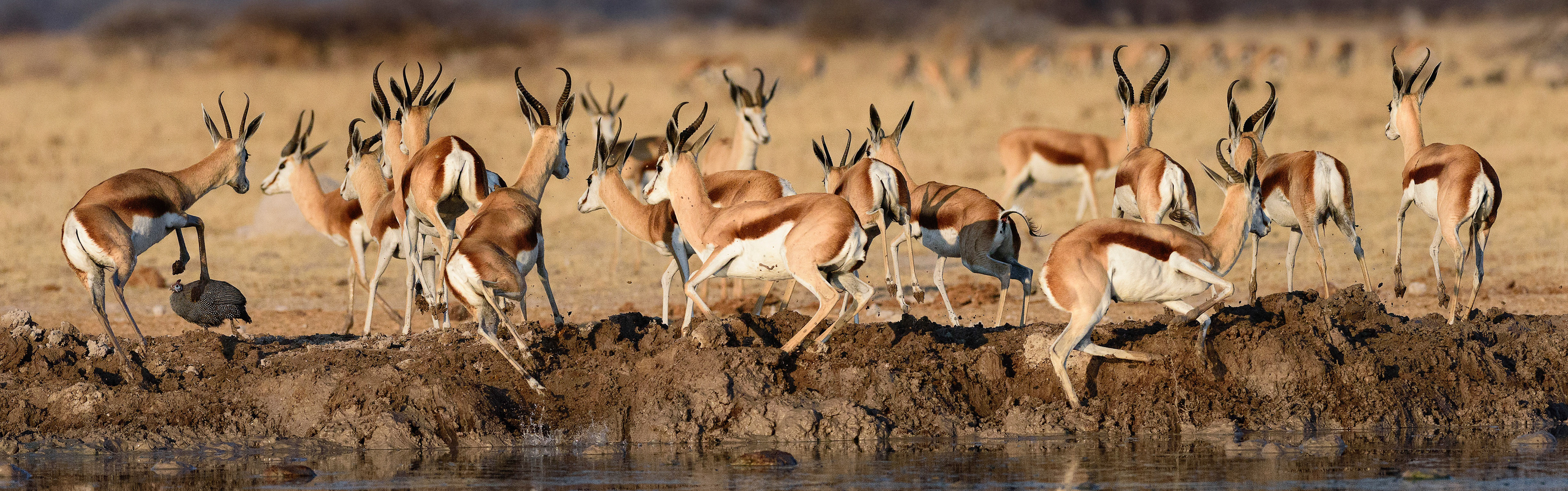 Gweta, Botswana