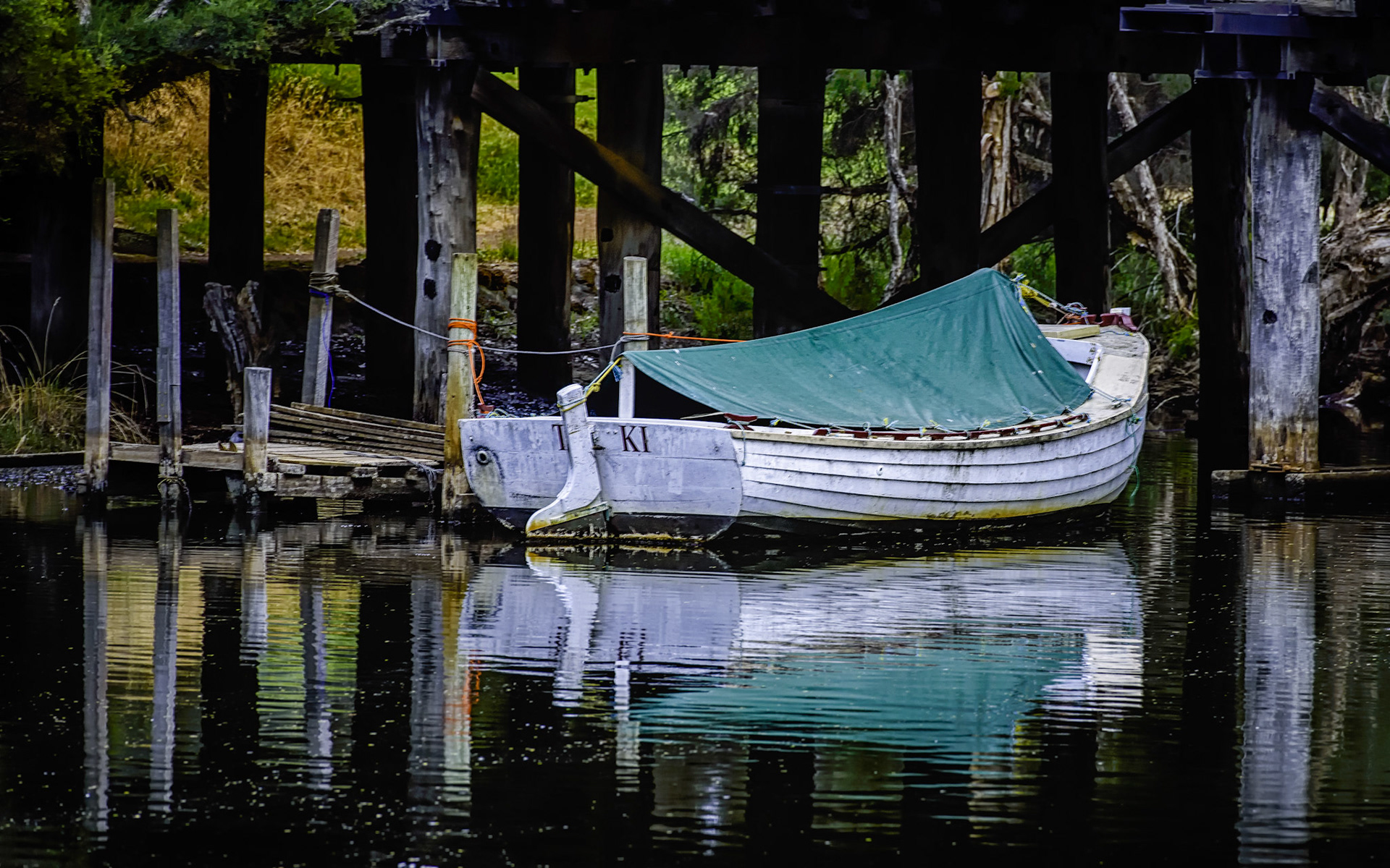 Under the Bridge / Denmark, Western Australia