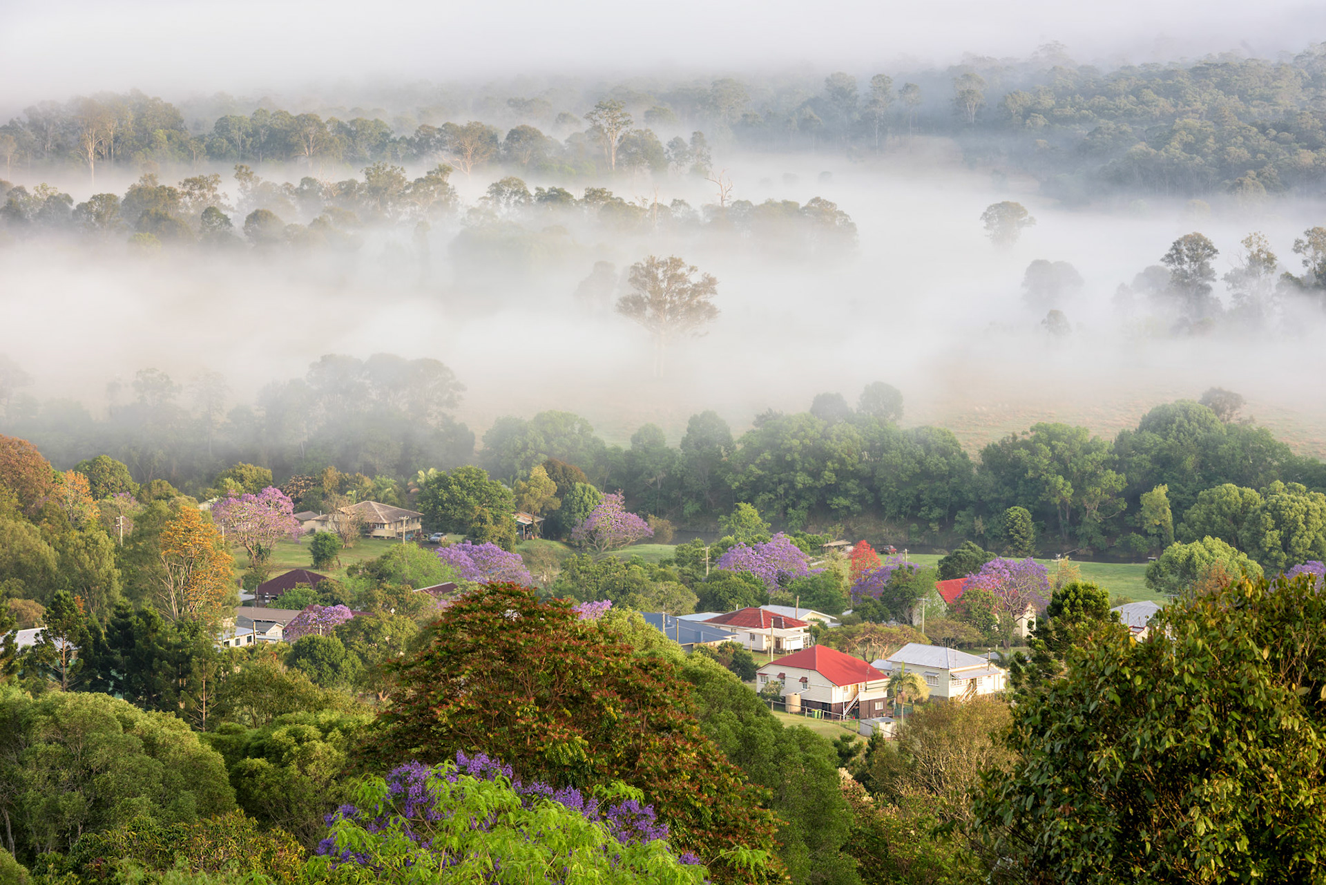 Title: Imbil Rises / Caption: A misty morning in the friendly village of Imbil in the Mary River Valley in QLD, Australia