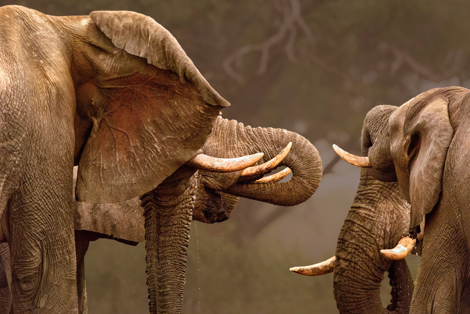 Caprivi, Northern Namibia