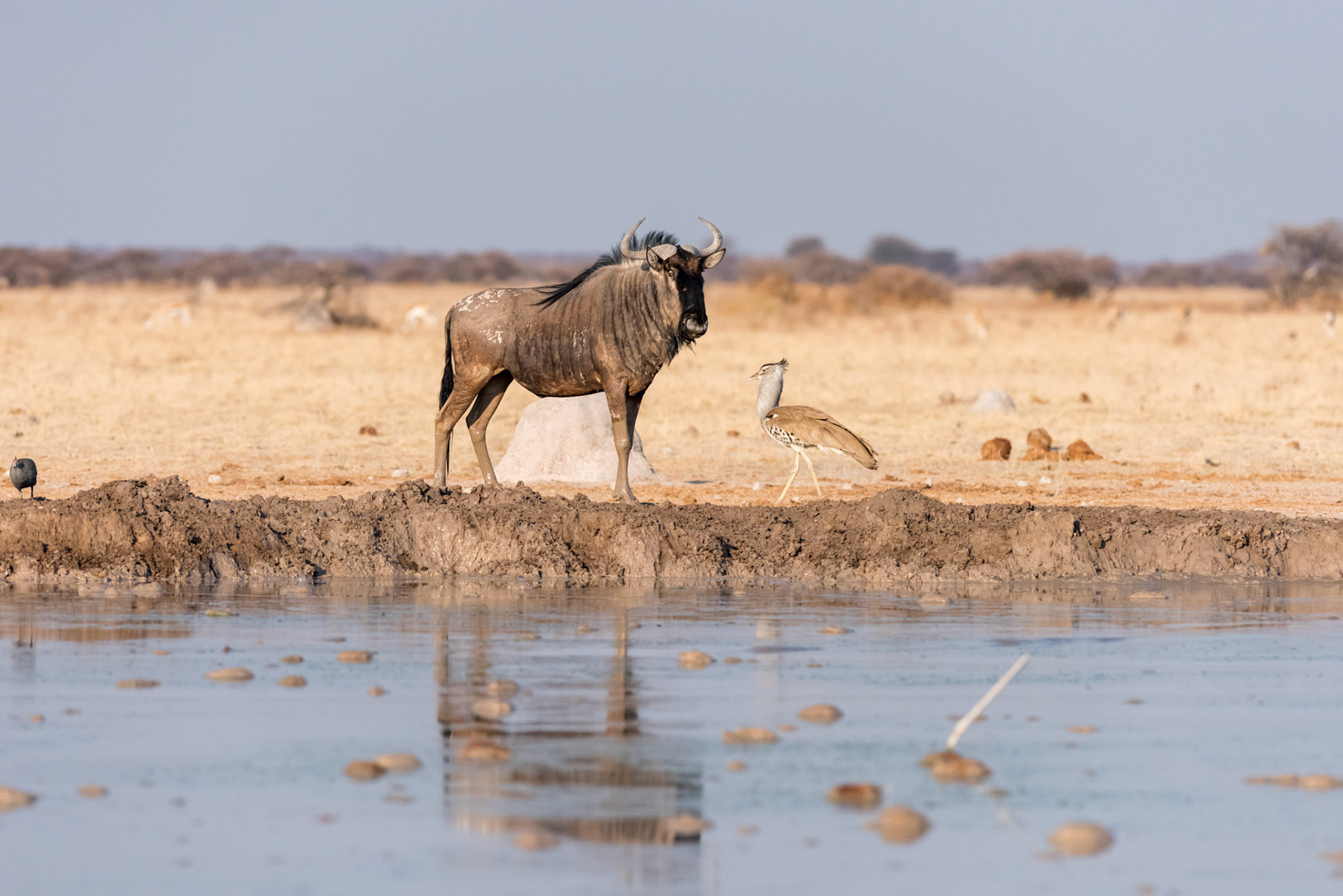 Gweta, Botswana