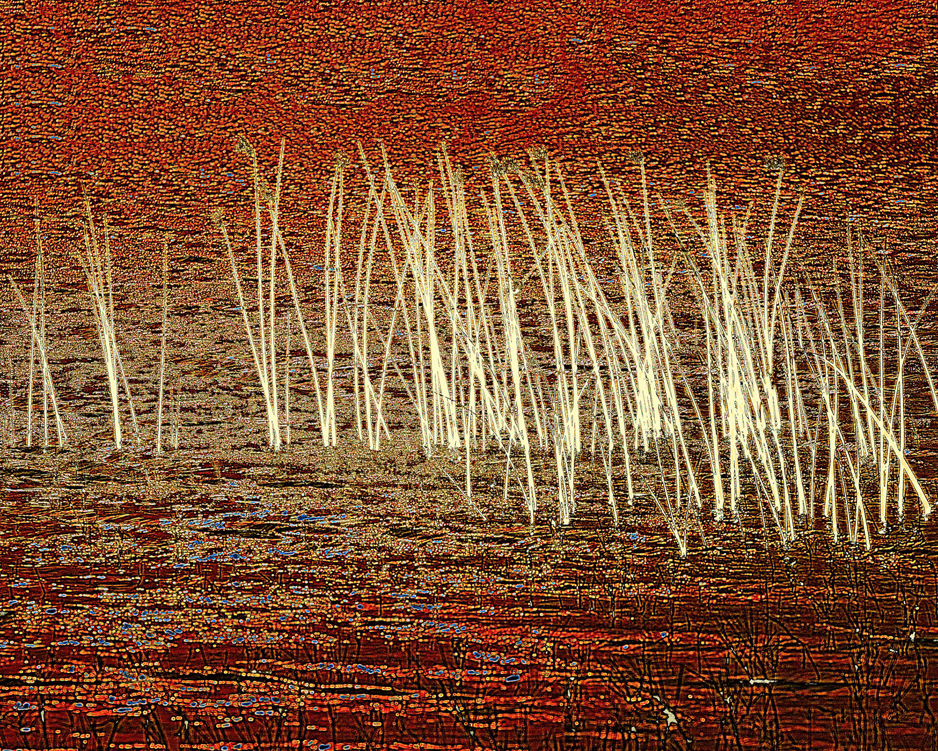 Moremi GR, Botswana