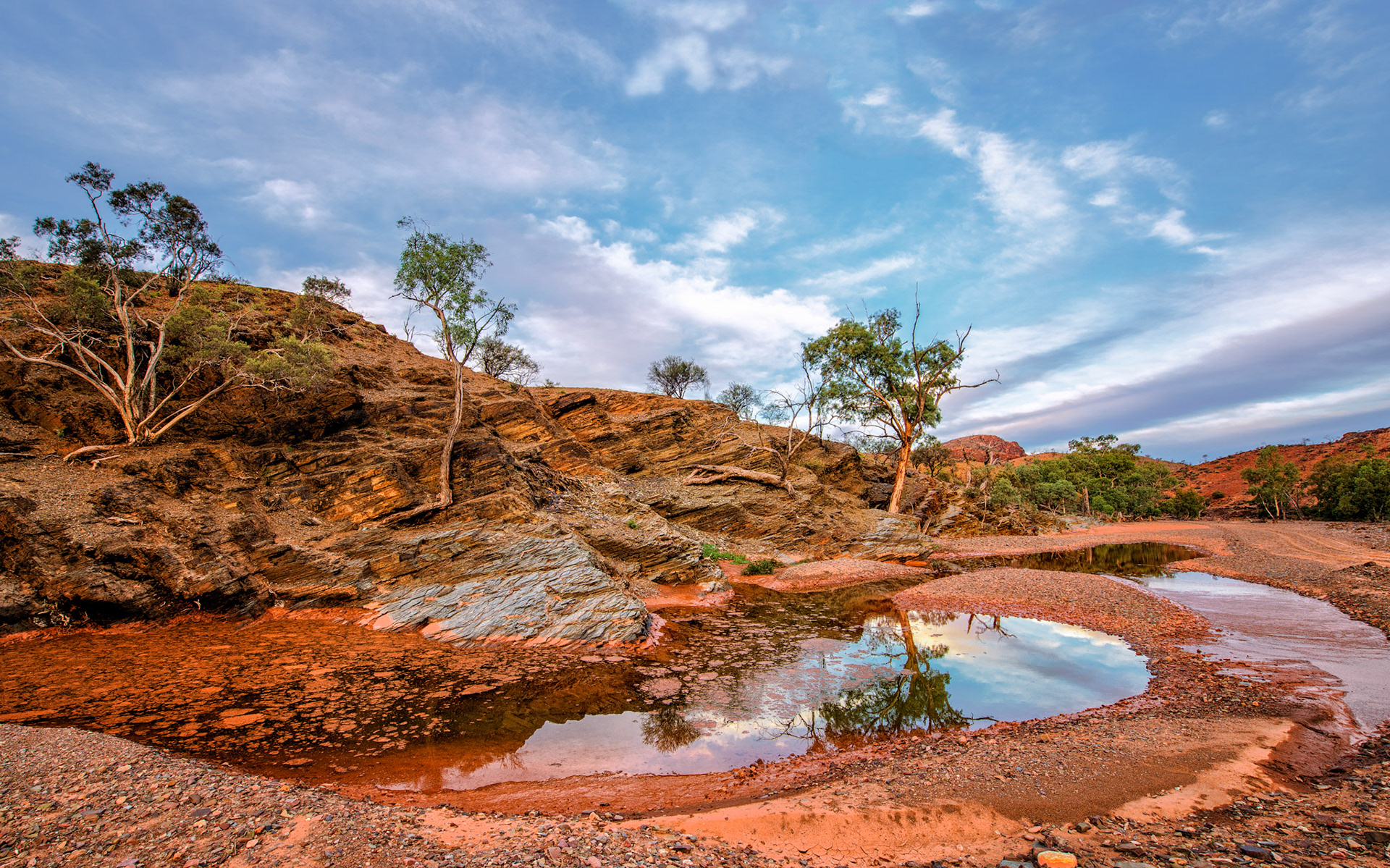 title: Mt Chambers Gorge, South Australia / Caption: On my way north from Yunta to Arkaroola I was looking for a place to camp and found a track leading east into this gorge. I loved the light and colours in the slate rock at sunset and sunrise. It's a wonderfully quiet place and the water from recent rains brought in the birds and animals