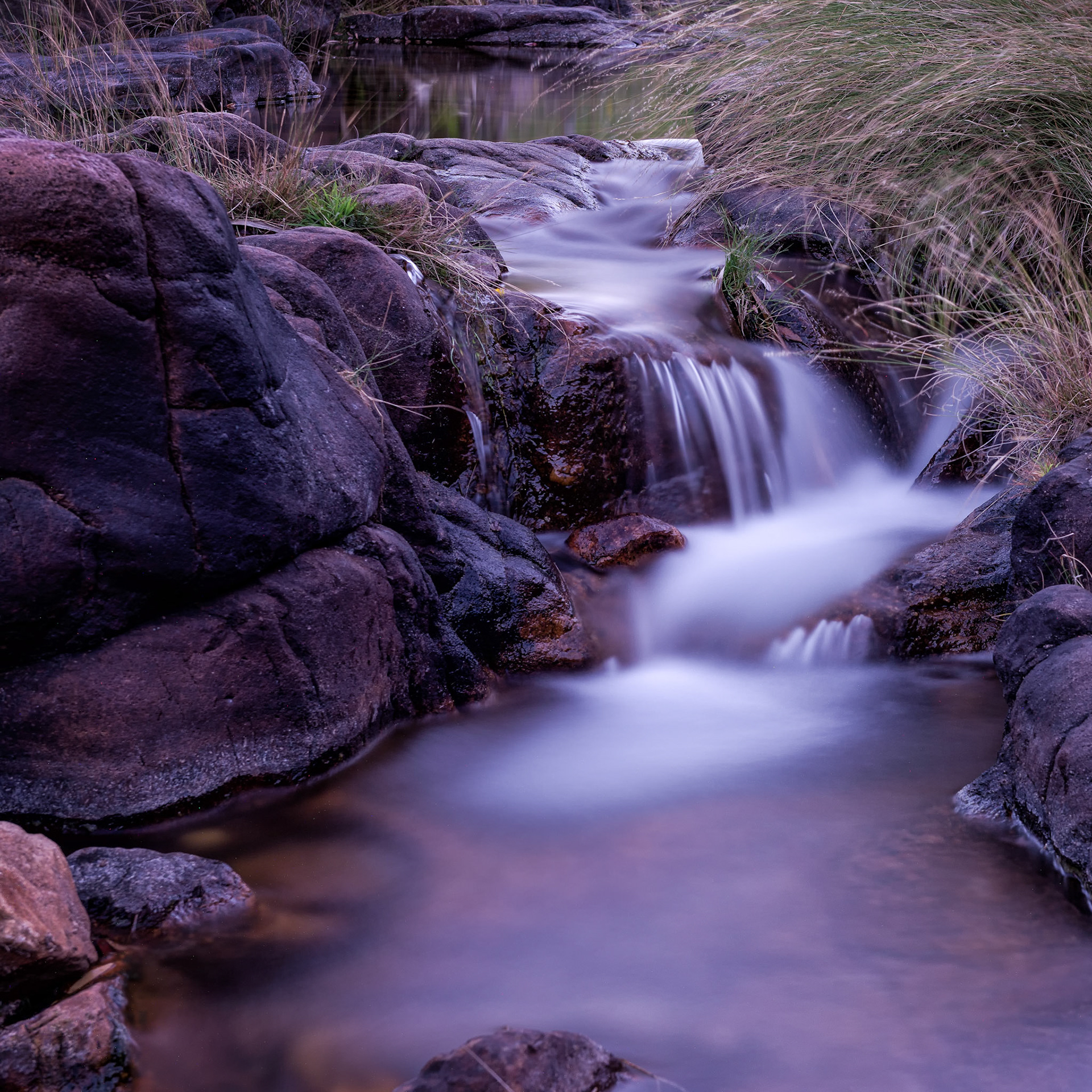 Title: Barramundi Creek / Caption: I stopped for this shot on my way back from Maguk Falls in Kakadu National Park, Northern Territory, Australia