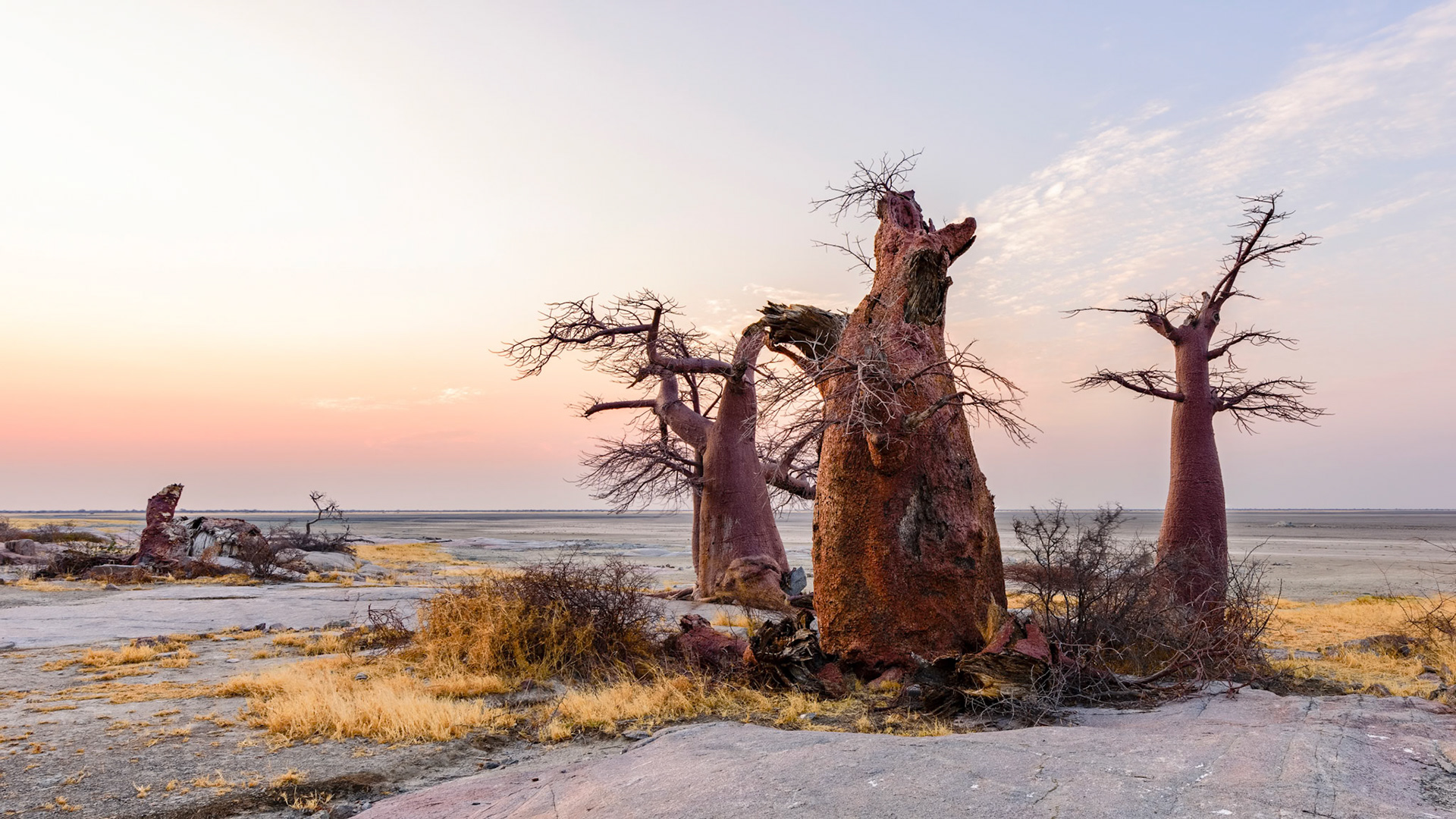 Kubu Island, Botswana