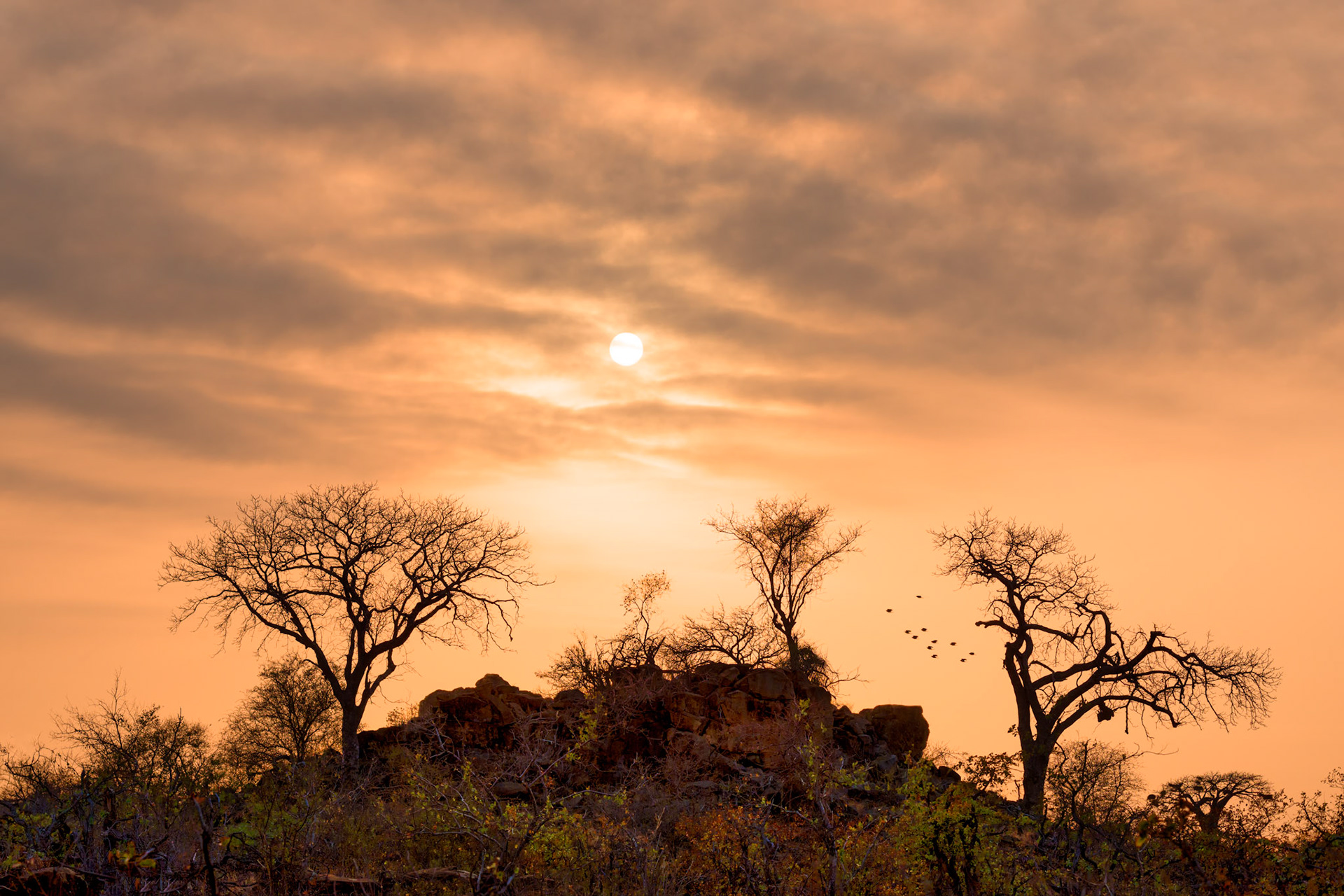 Kruger NP, Limpopo, South Africa