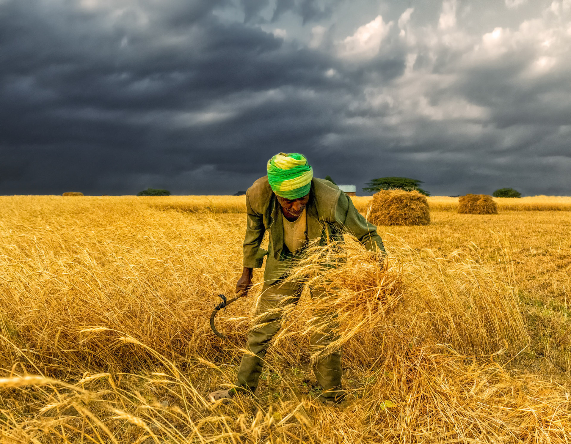 Harvest Storm. Tigray Region, Ethiopia 2018