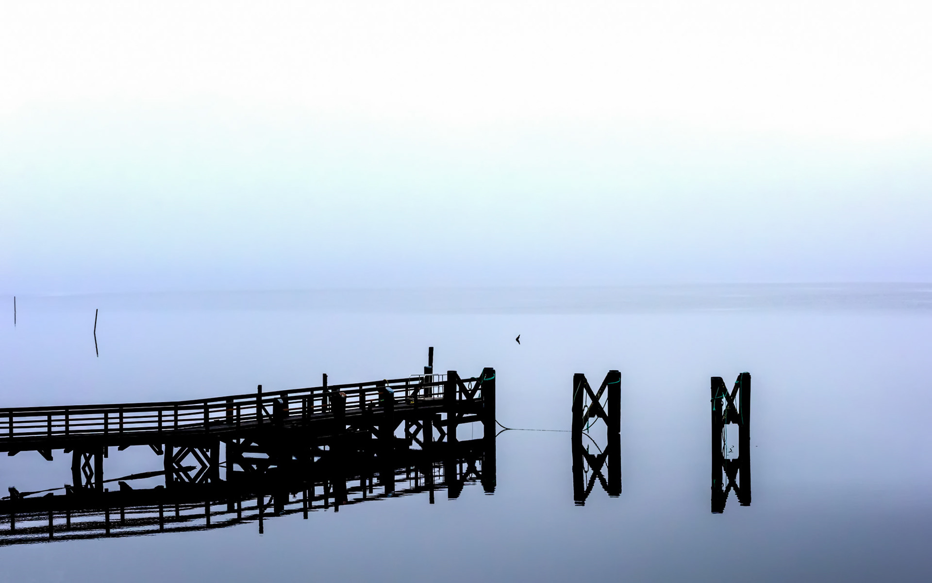 Sarah Island #2 / Sarah Island in Macquarie Harbour was a convict gaol in 19th Centtury. We visited the isalnd on a very misty day which definitely set the tone for our visit there. Strahan, Tasmania, Australia