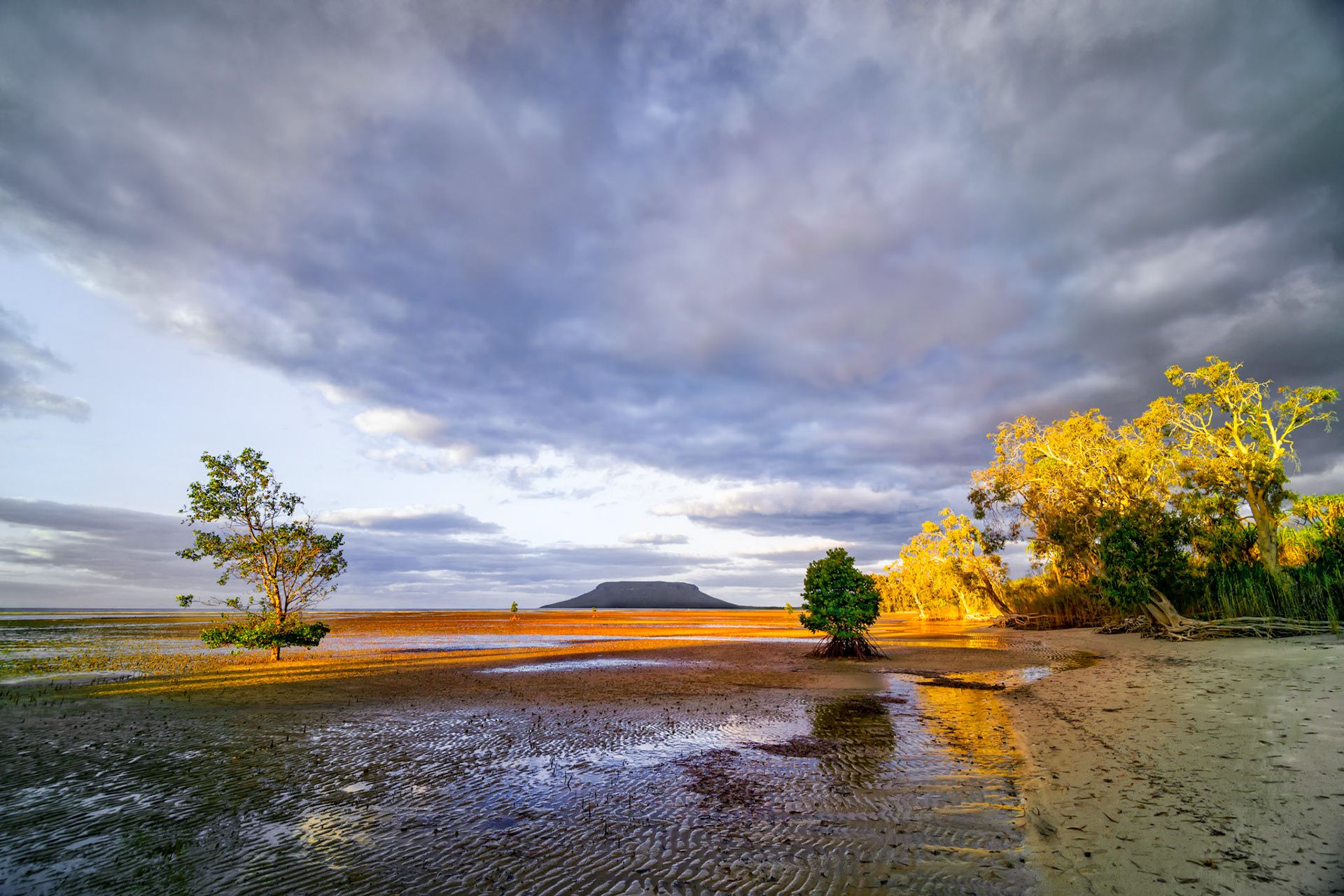 Title: Dawn at Low Tide / Caption: No crocs at low tide near Elim Beach on Cape York
