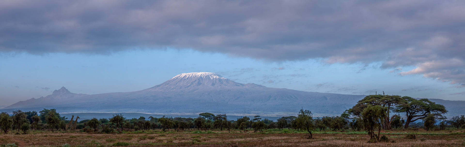Amboseli, Kenya
