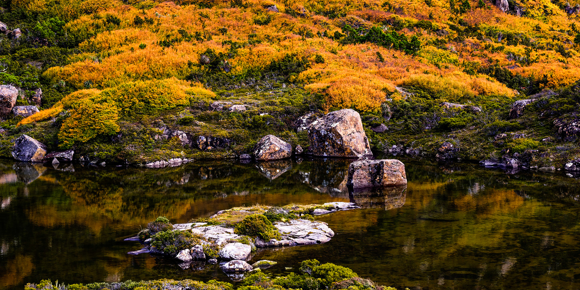 Fagus Reflected #5 / The Tarn Shelf in Mt. Field National Park is one of my top spots in Australia for the glory of the views across the mountains, tarns and lakes. You need to be fairly fit to walk up here, but its worth it. The colours of the autumn foliage of the Fagus Beech is very special. It is Australia's only native decuous plant and is only found in the Tasmanian High Country.