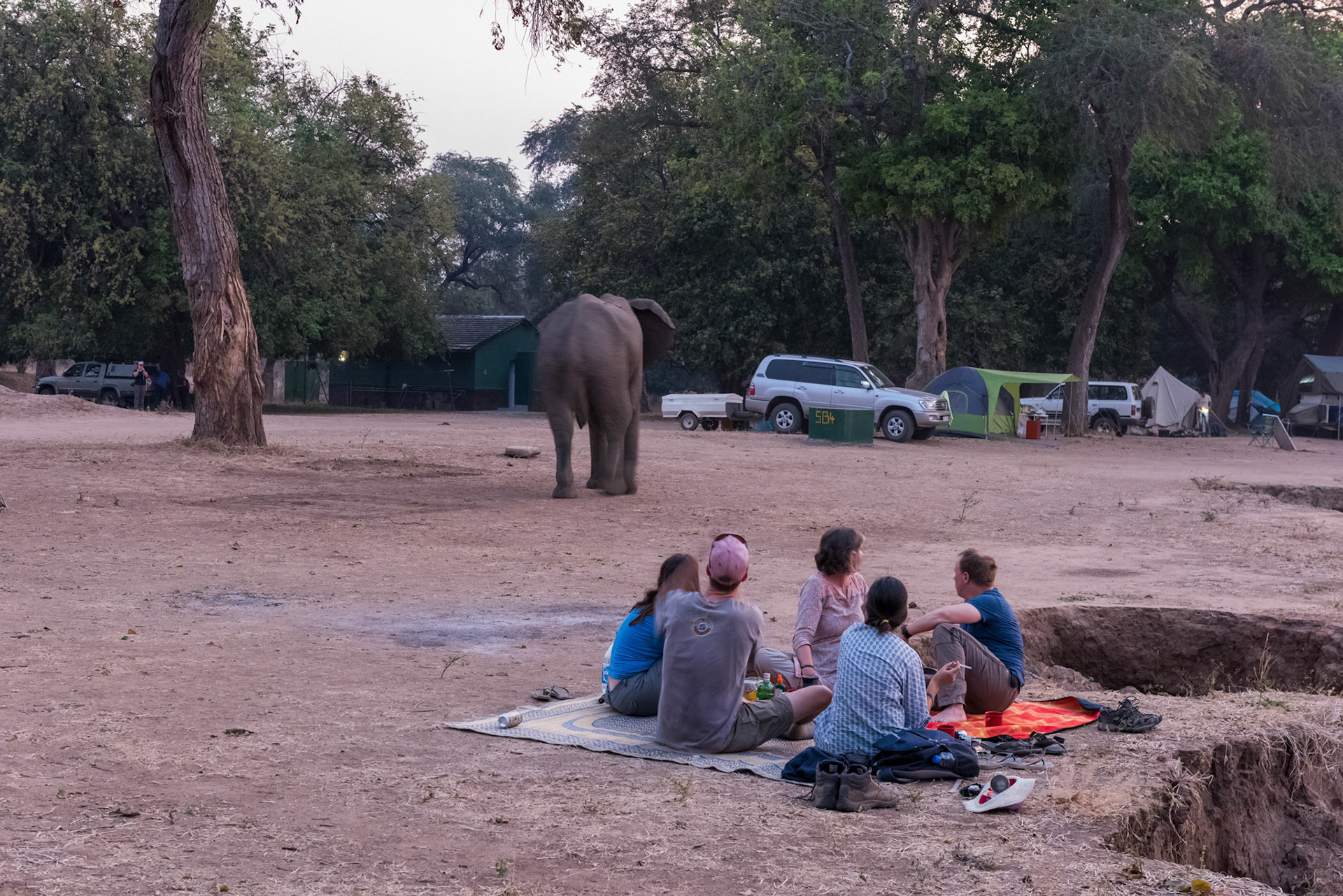 Mana Pools, Zimbabwe