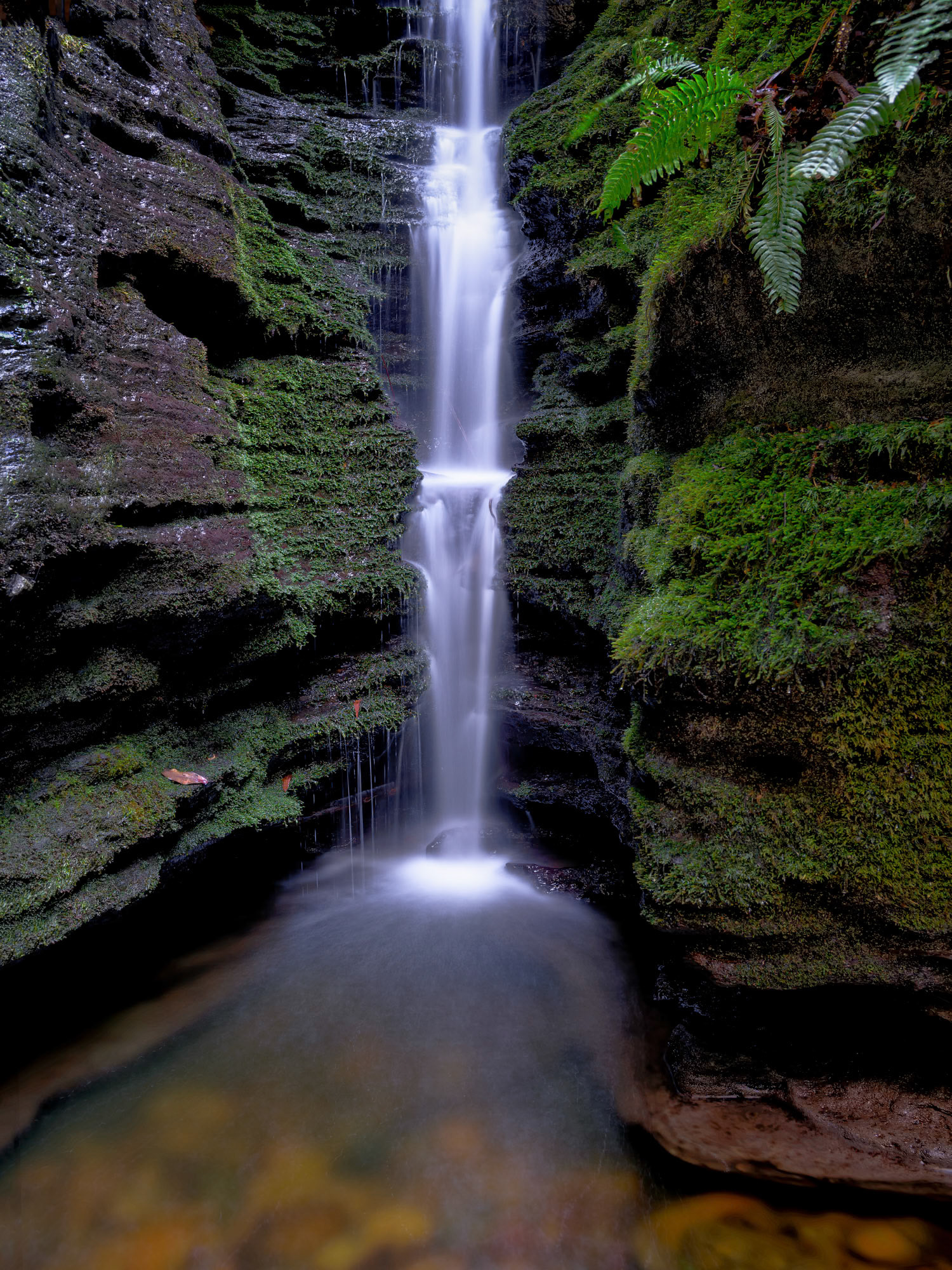 Secret Falls #1