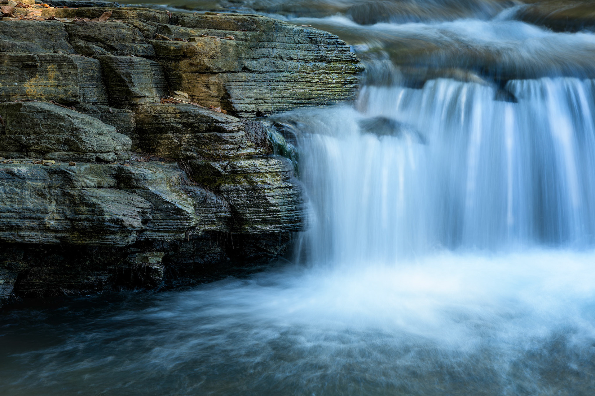 Title: Berri Springs / Caption: These warm springs south of Darwin are very popular. The extensive gardens and swimming holes are an oasis that is well worth a visit.