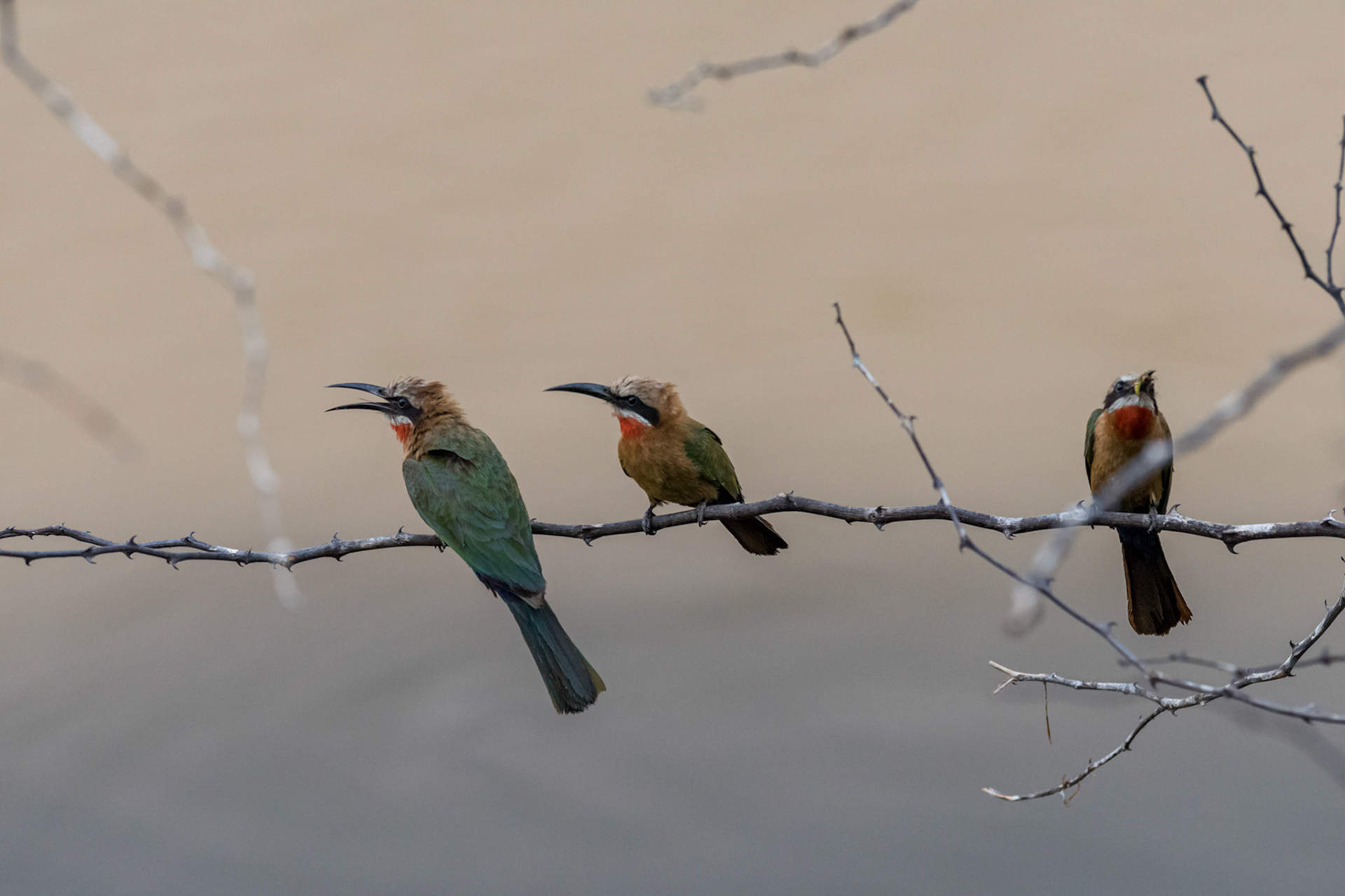 Shakawe, Botswana