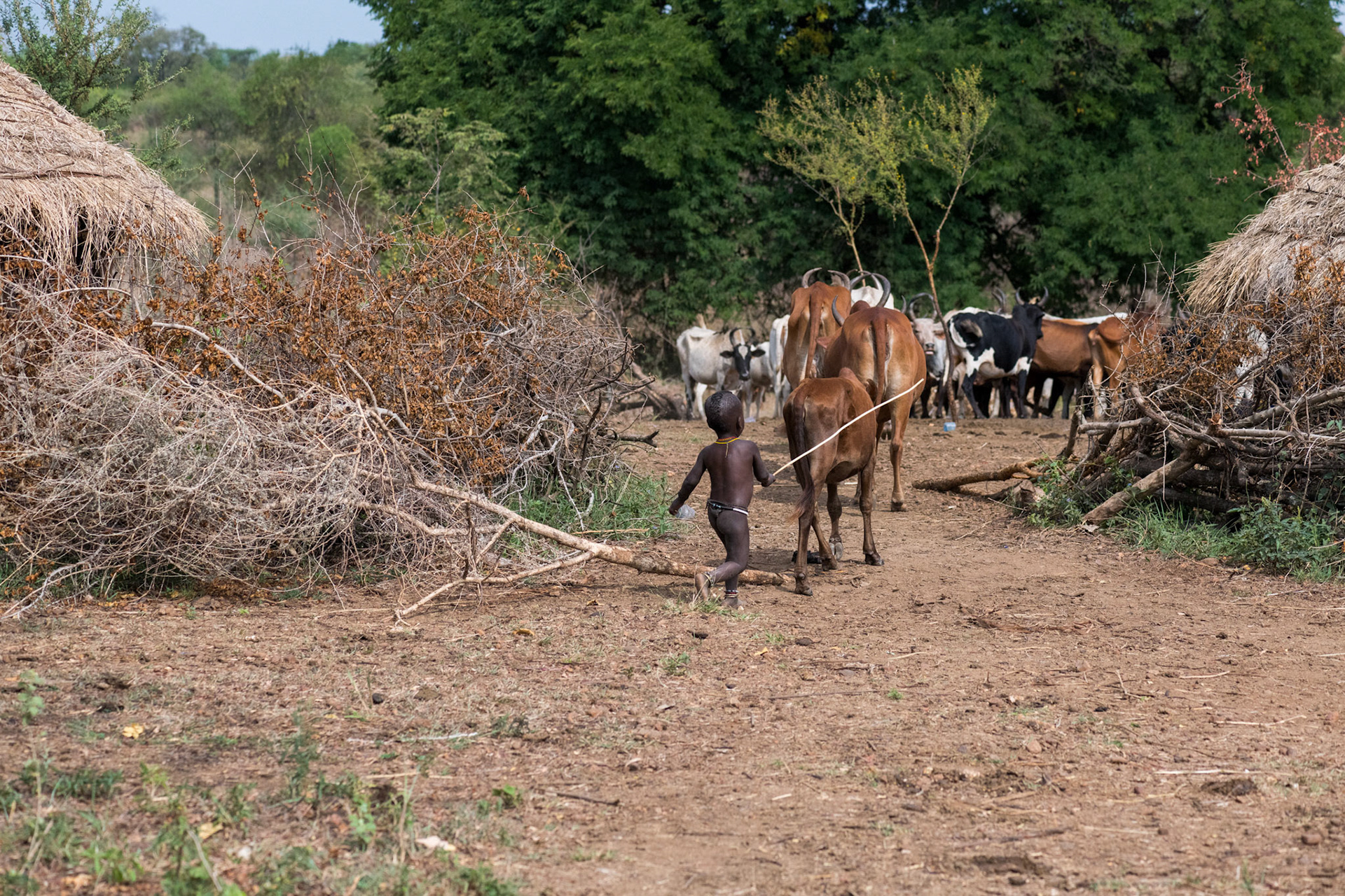 Ethiopia 2018