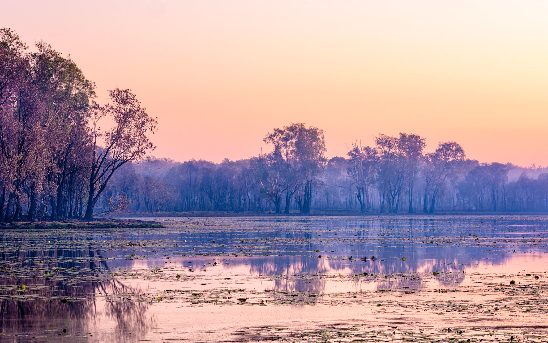 Title: Smoking Sunset / Caption: This bushfire ran across the country for two weeks before it reached Sandy Billabong in the Kakadu National Park. I spent an evening and a morning taking photos of this bush fire which passed or camp during the night.