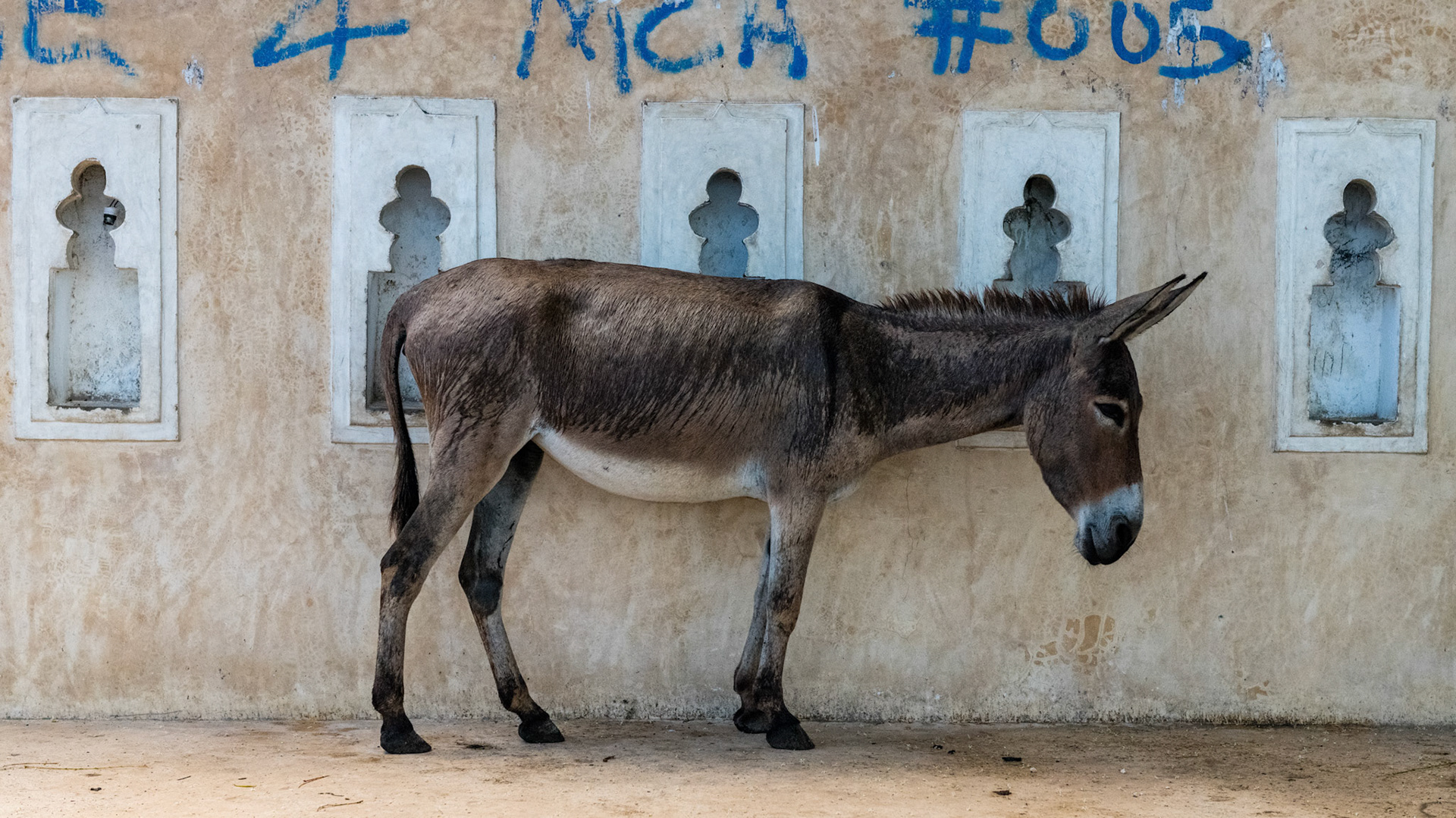 Lamu, Kenya