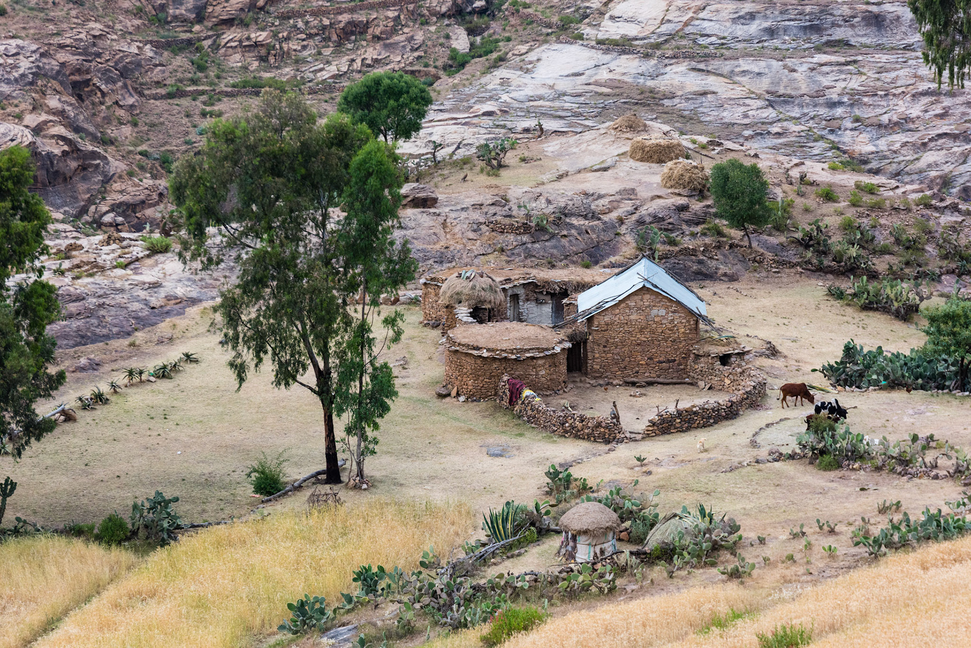 Ethiopia 2018